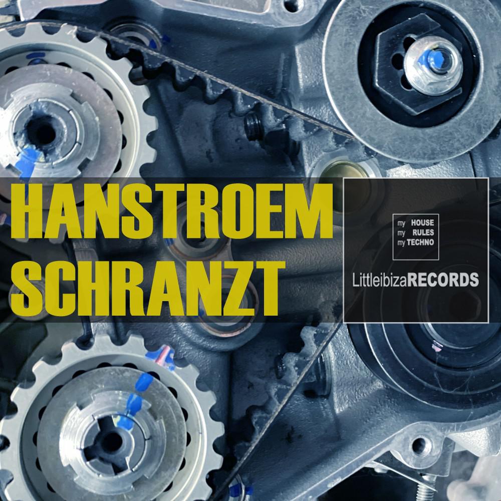 Постер альбома Schranzt (160 Bpm Schranz Techno Mix)