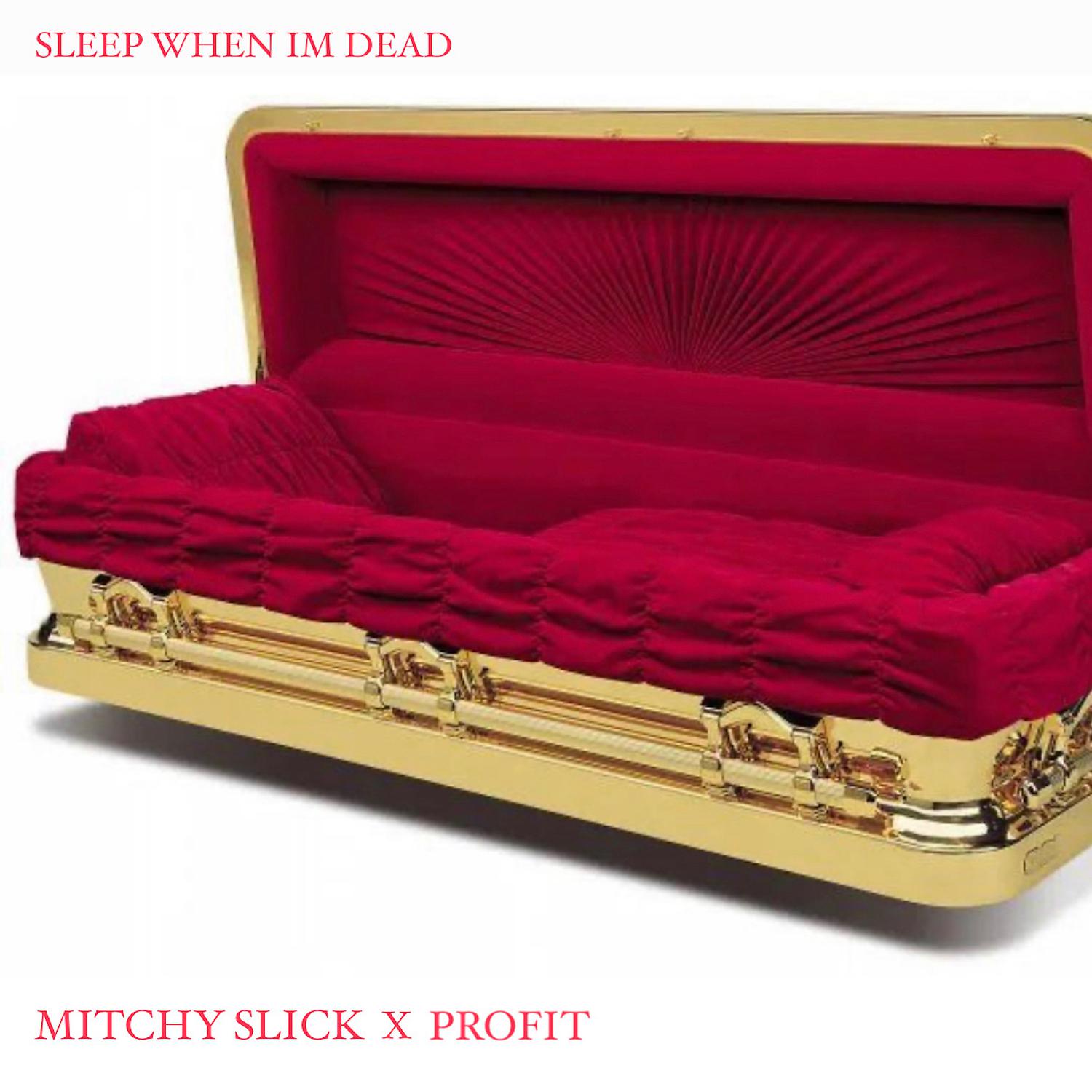 Постер альбома Sleep When Im Dead (feat. Profit)