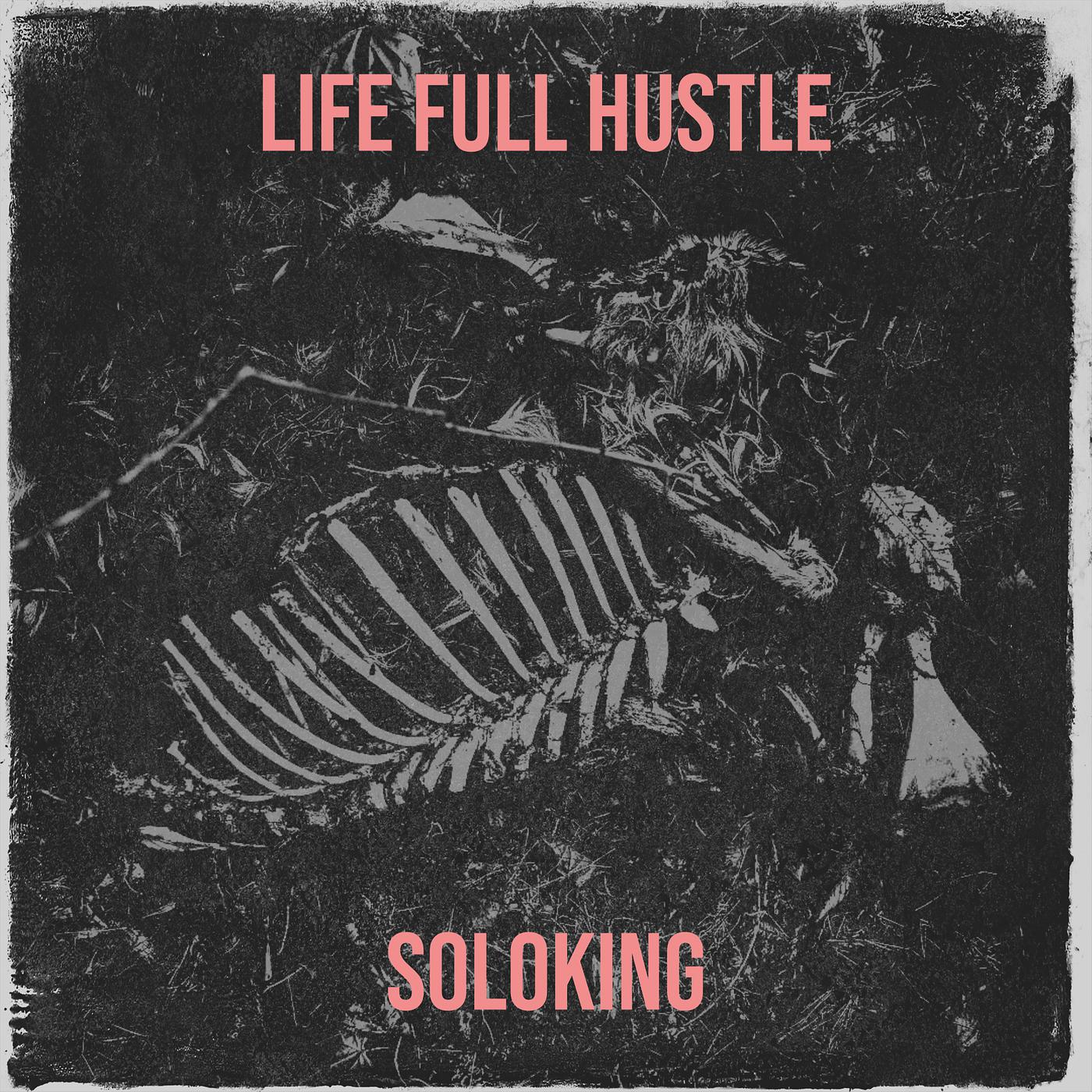 Постер альбома Life Full Hustle