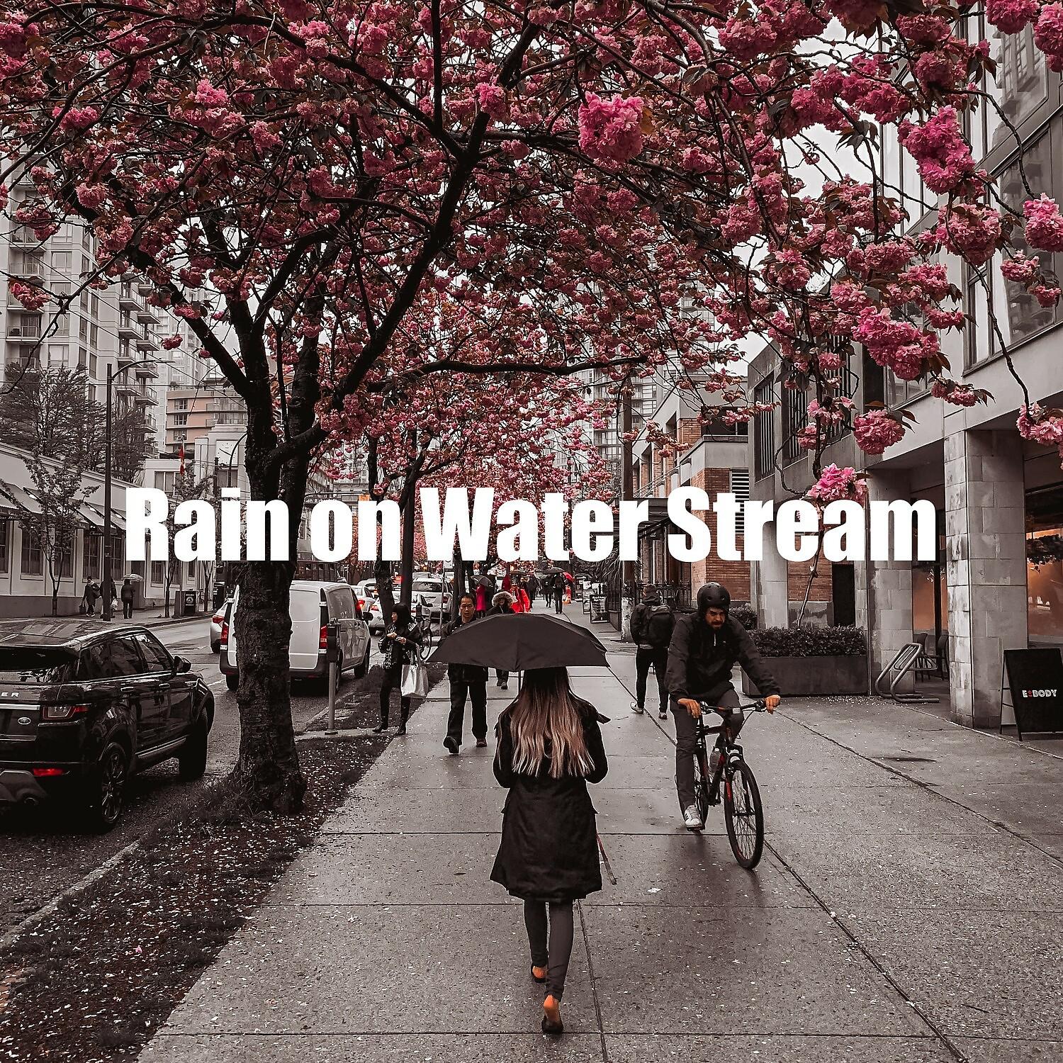 Постер альбома Rain on Water Stream