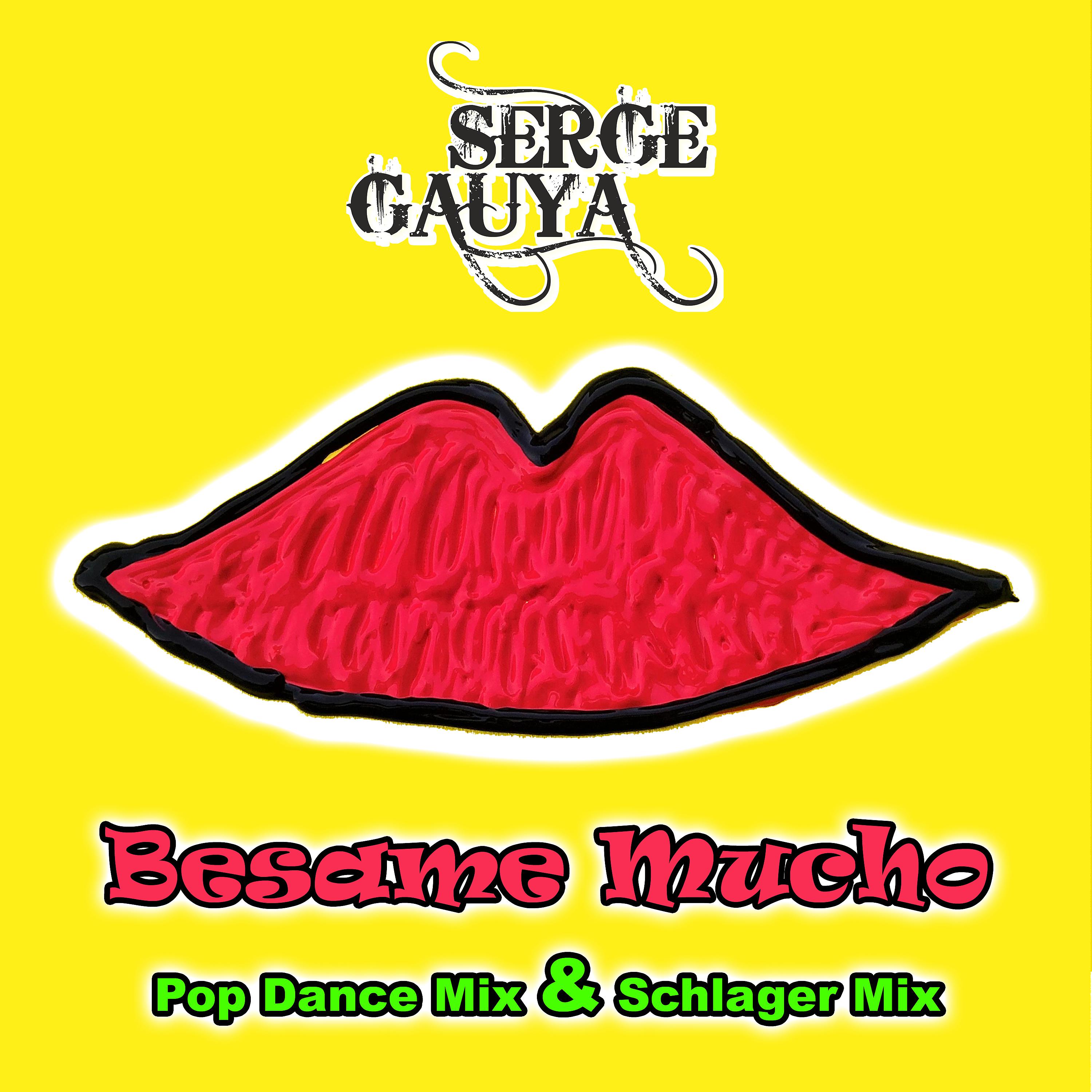 Постер альбома Besame Mucho (Pop Dance Mix & Schlager Mix)
