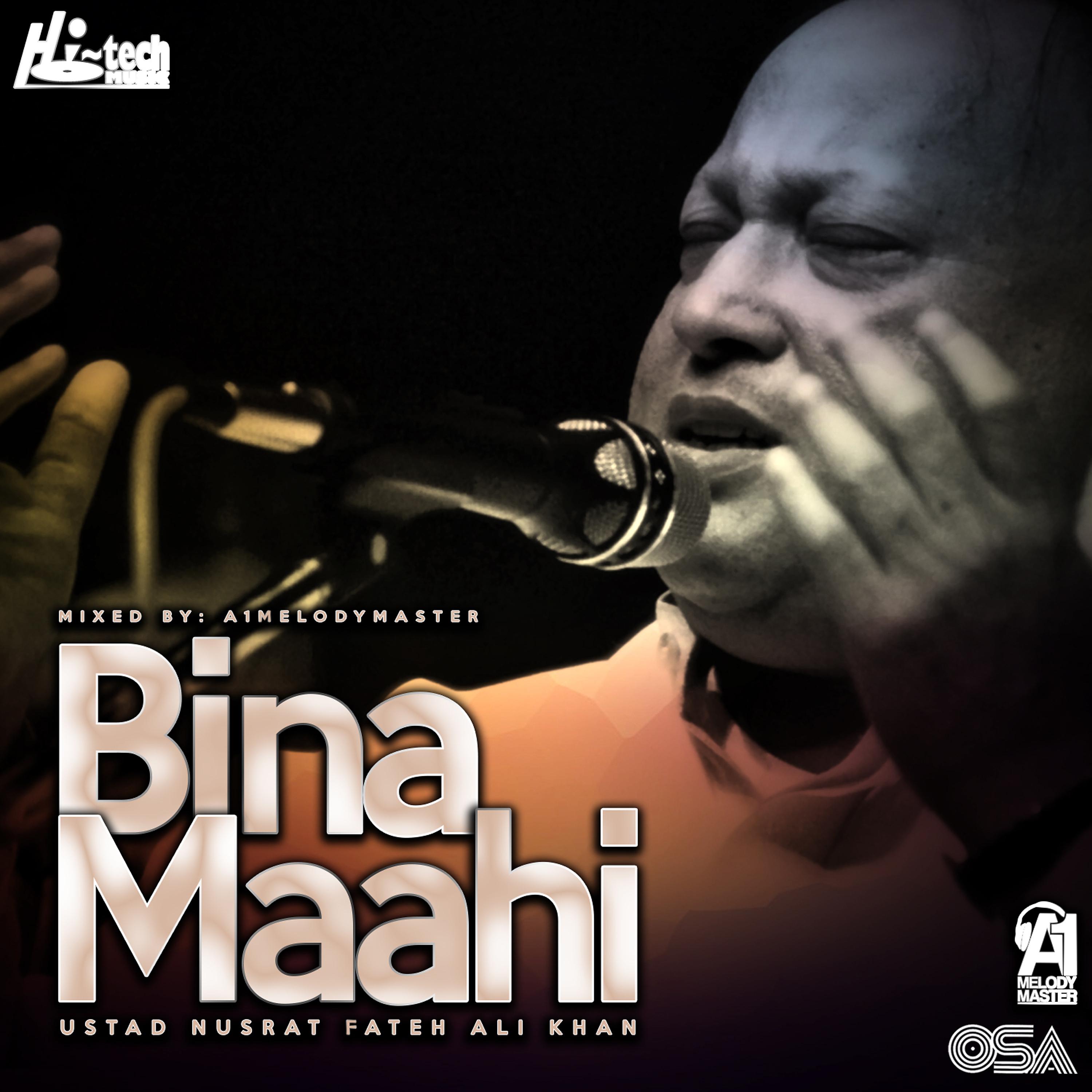 Постер альбома Bina Maahi