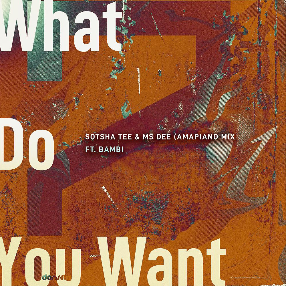 Постер альбома What Do You Want (Amapiano Mix)
