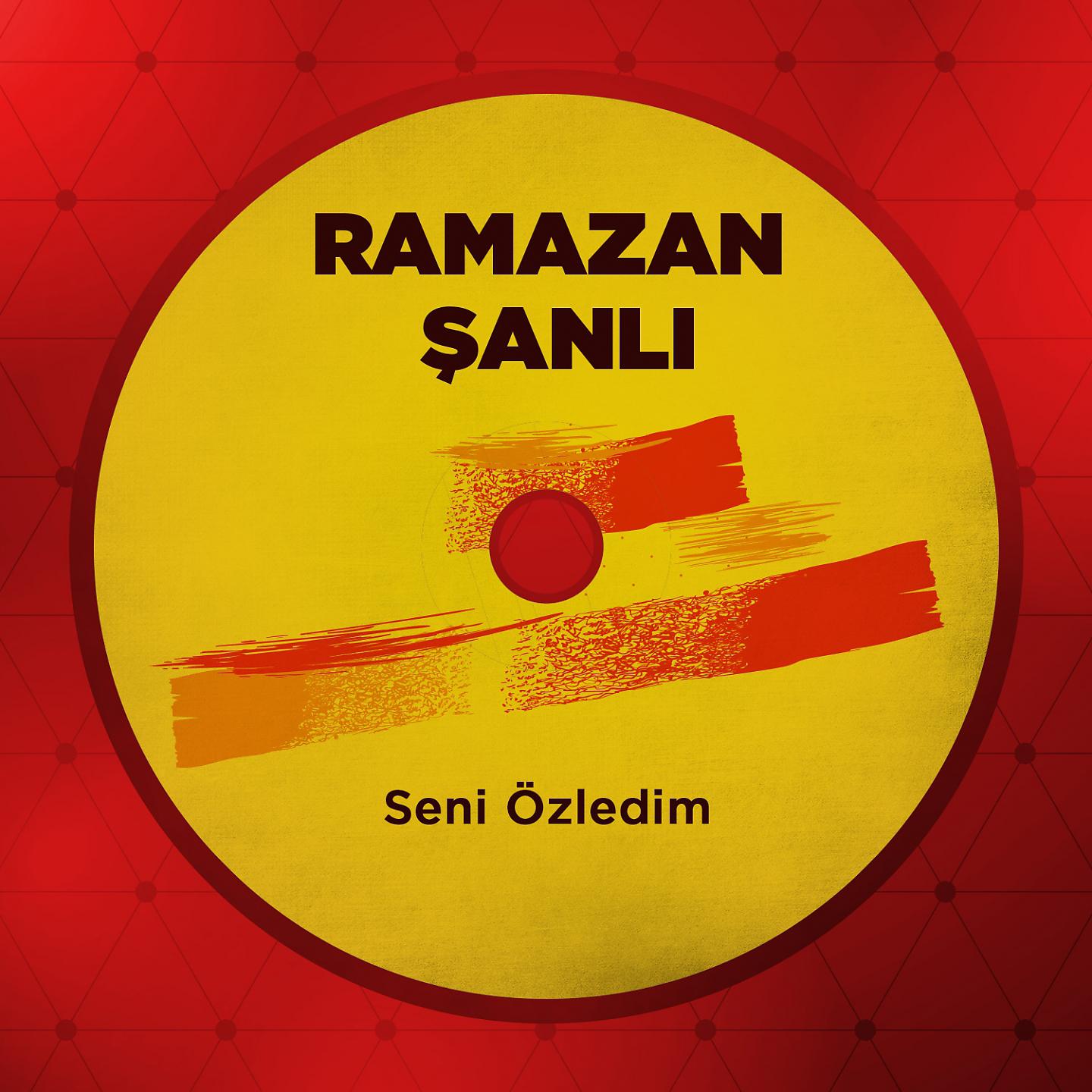 Постер альбома Seni Özledim