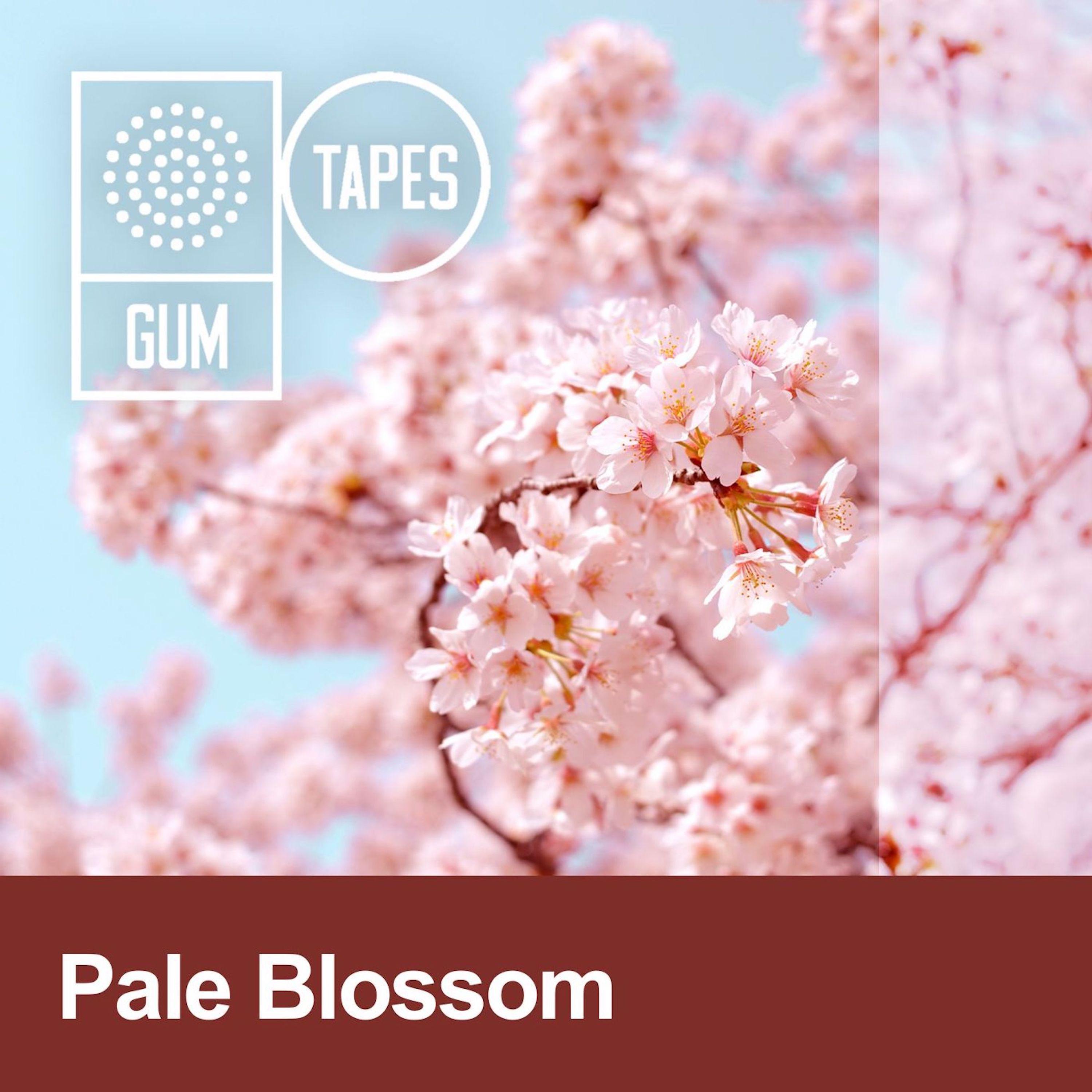 Постер альбома GTP390 Pale Blossom
