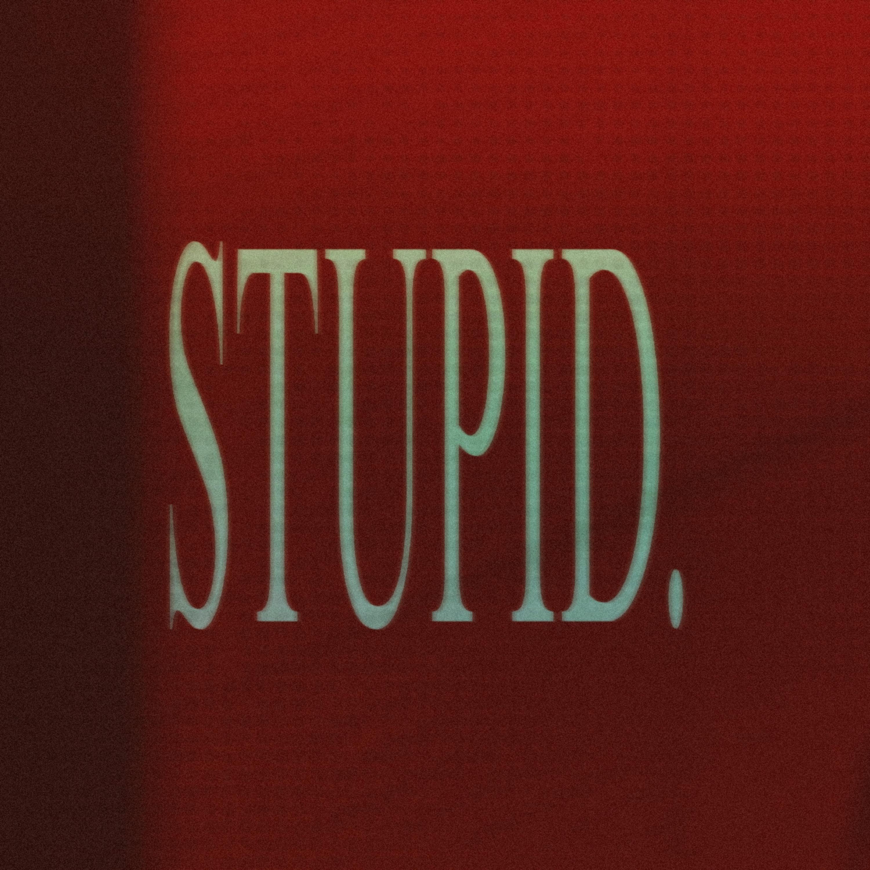 Постер альбома Stupid.