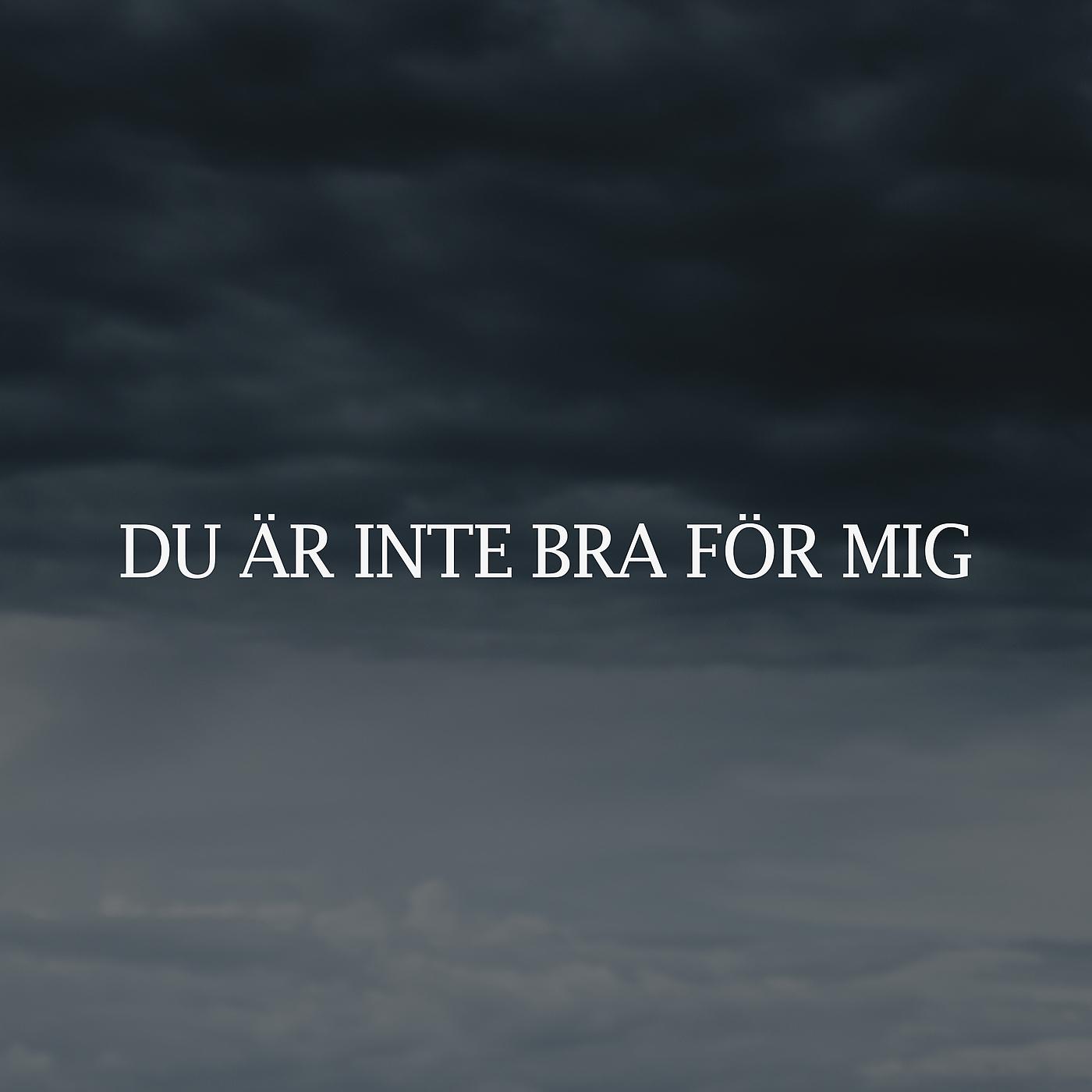Постер альбома DU ÄR INTE BRA FÖR MIG