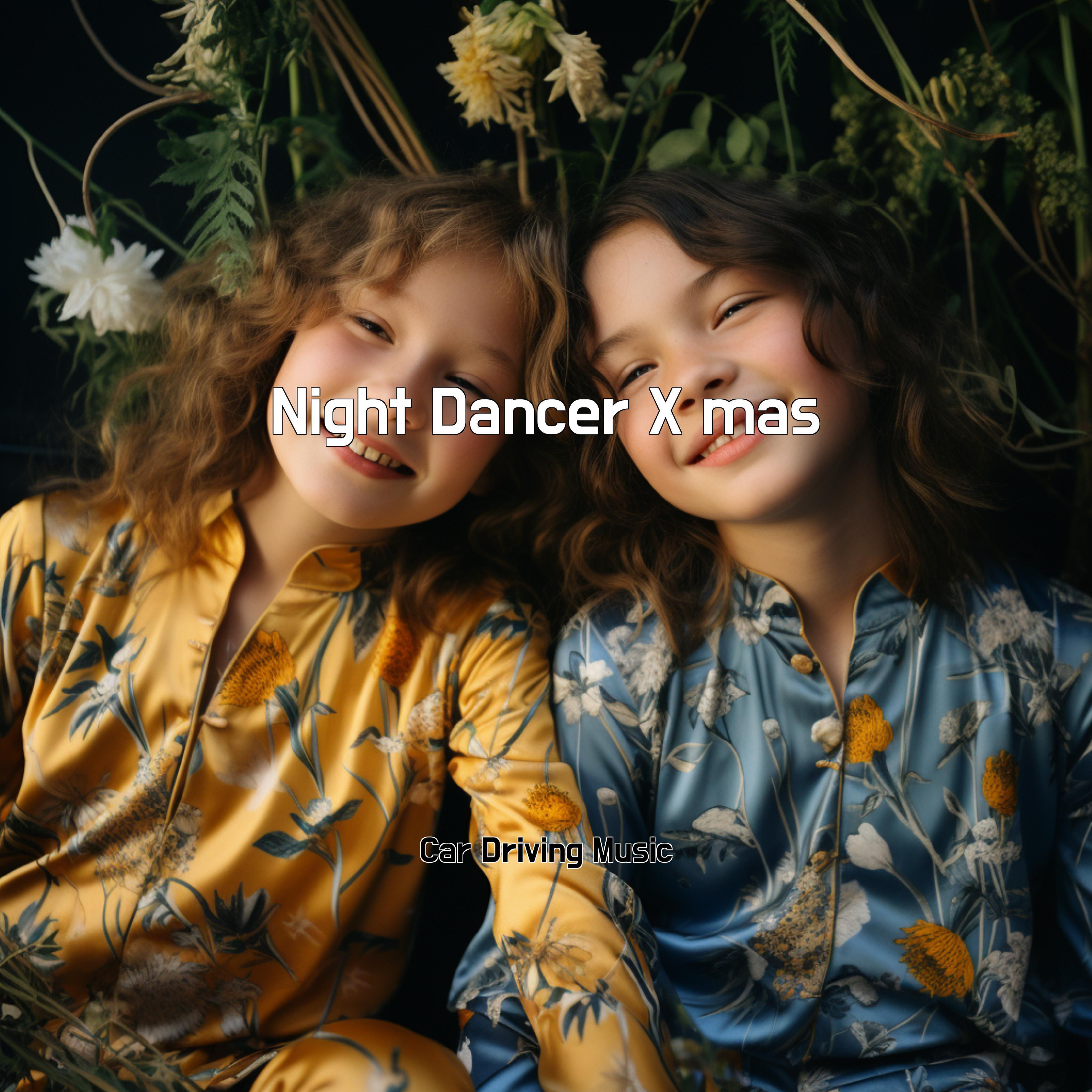 Постер альбома Night Dancer X mas