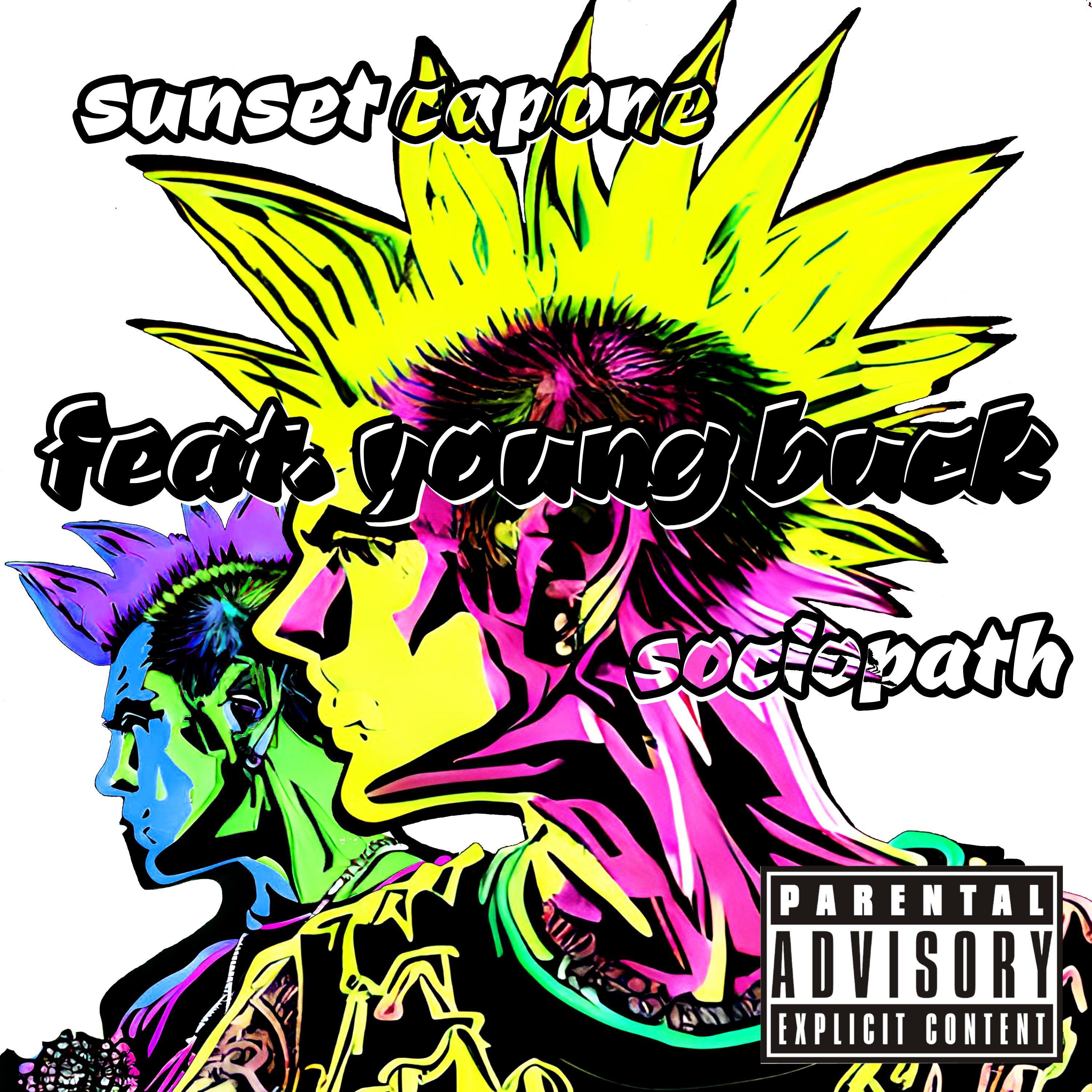 Постер альбома Sociopath (feat. Young Buck)