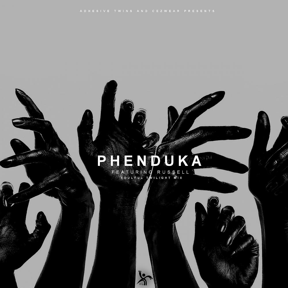 Постер альбома Phenduka