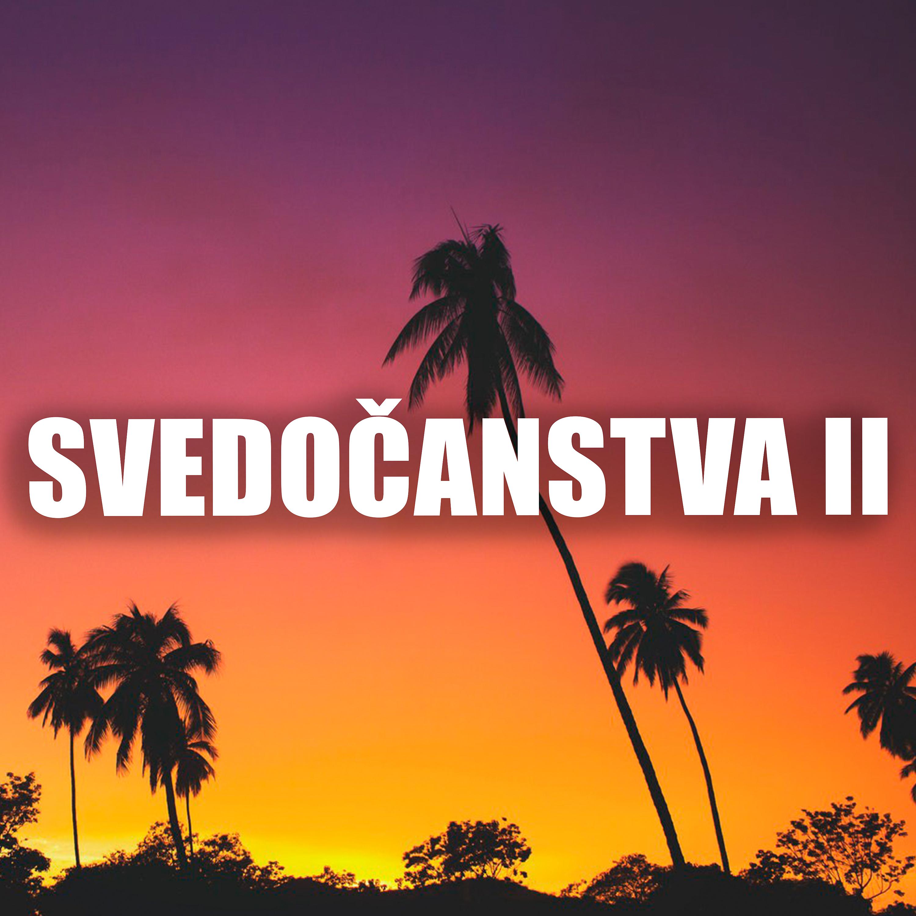 Постер альбома Svedocanstva II