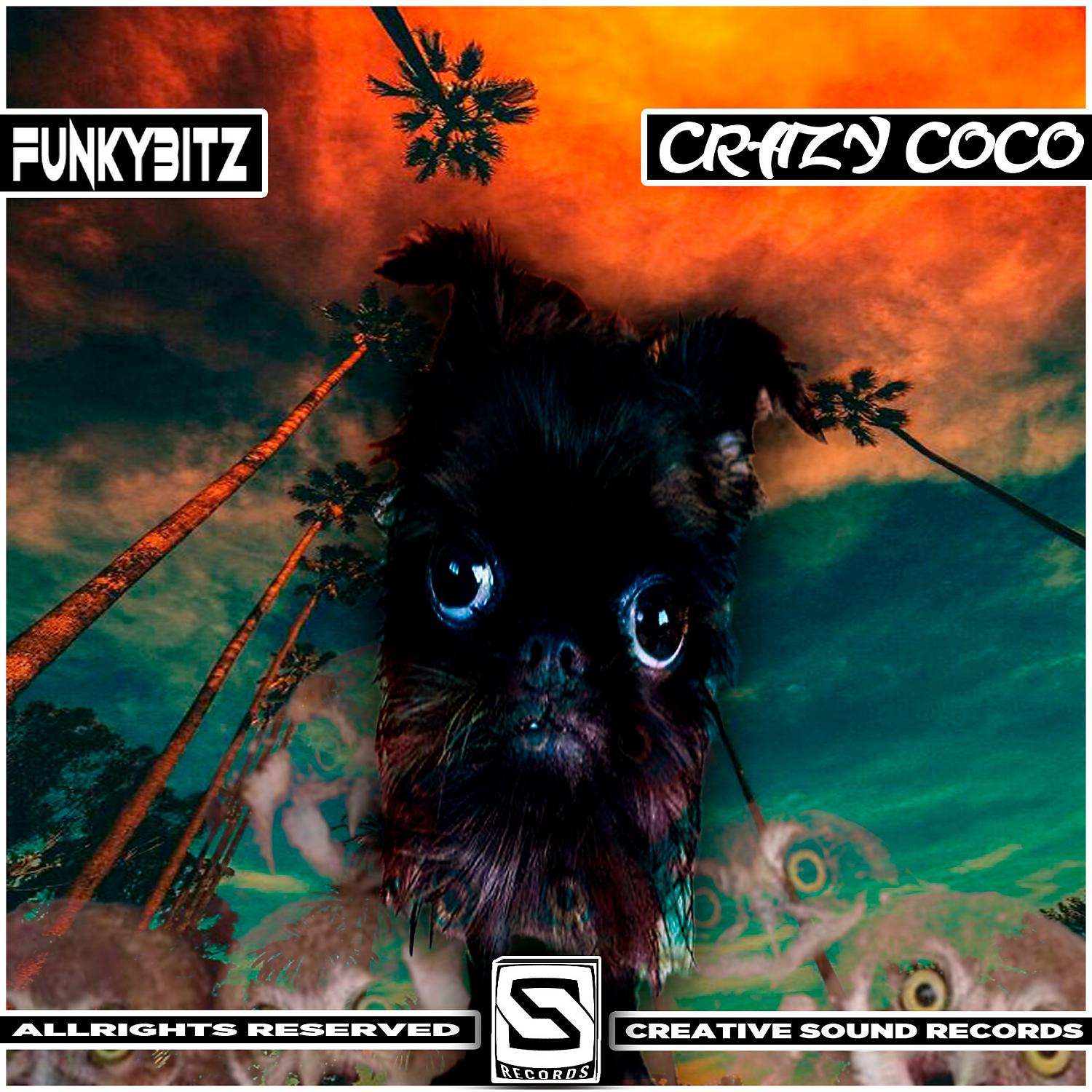 Постер альбома Crazy Coco