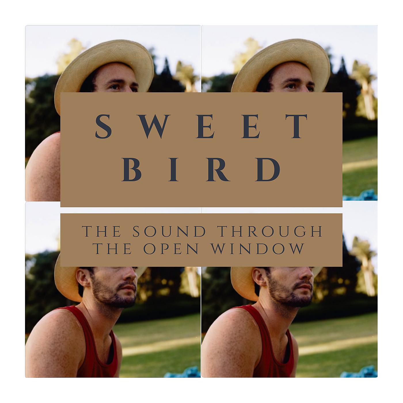 Постер альбома Sweet Bird