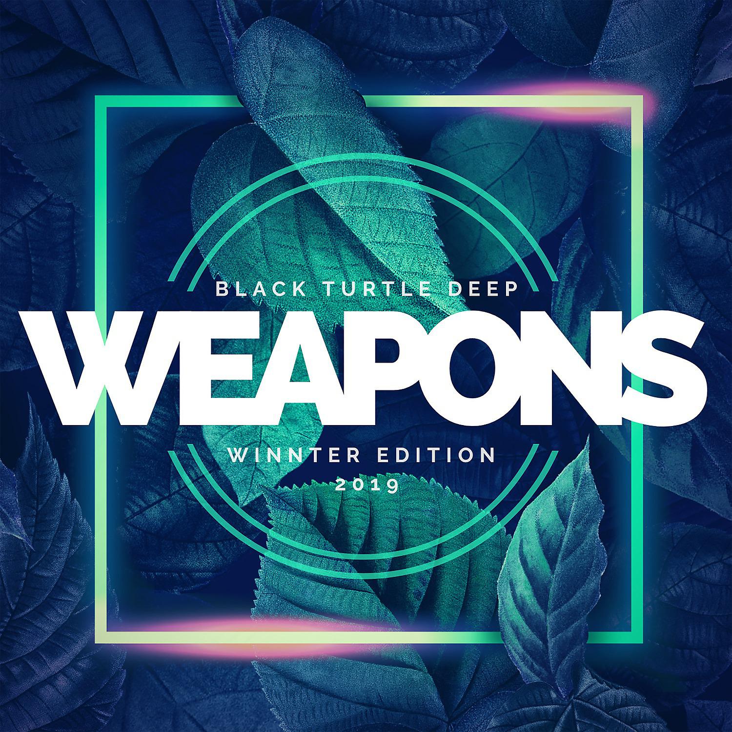 Постер альбома Black Turtle Deep Weapons Winter Edition 2019