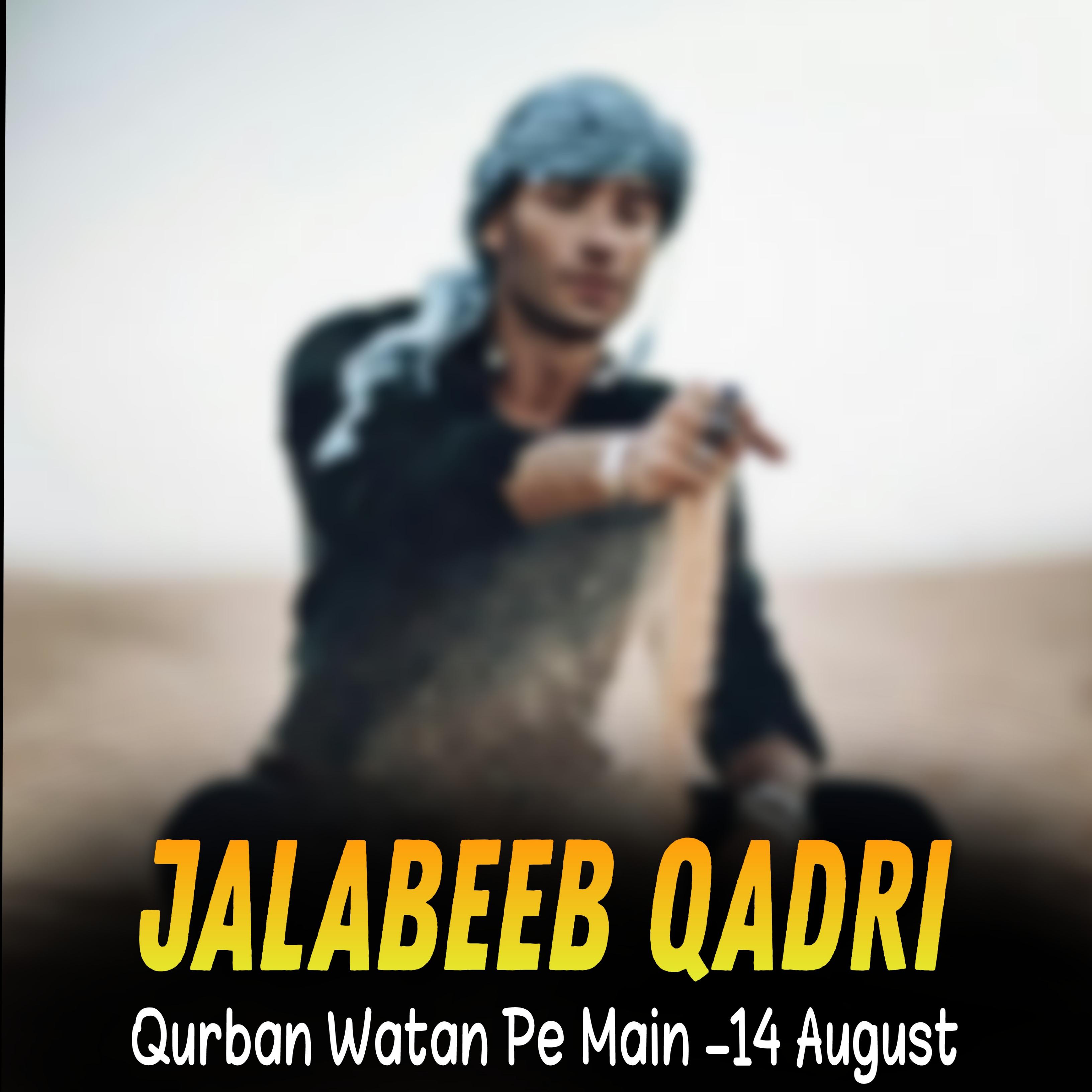 Постер альбома Qurban Watan Pe Main -14 August