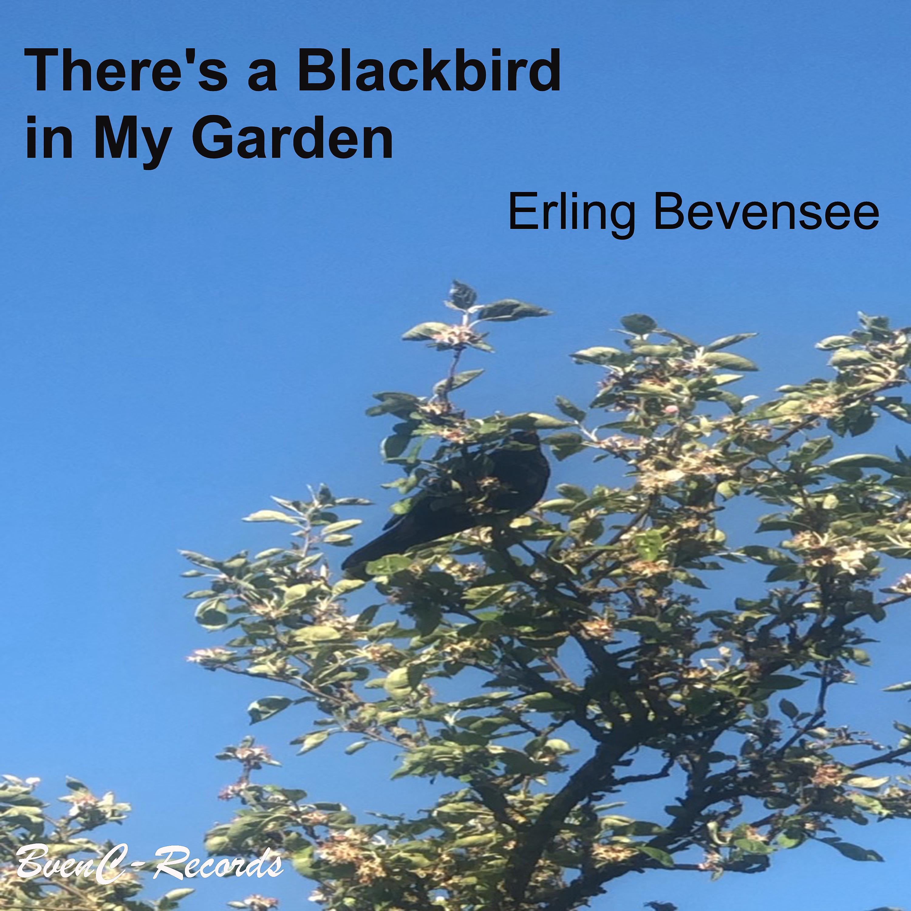 Постер альбома There's a Blackbird in My Garden
