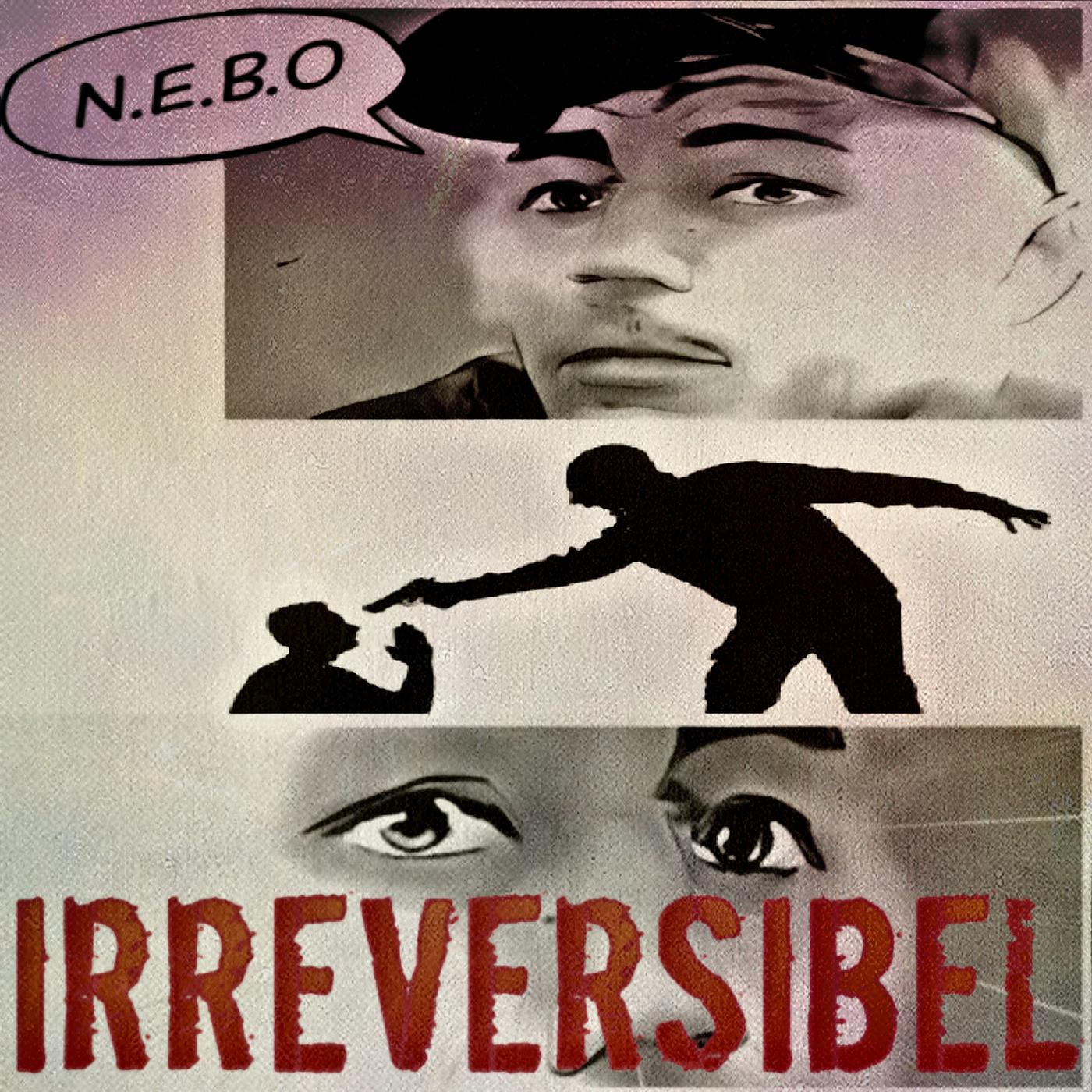 Постер альбома Irreversibel