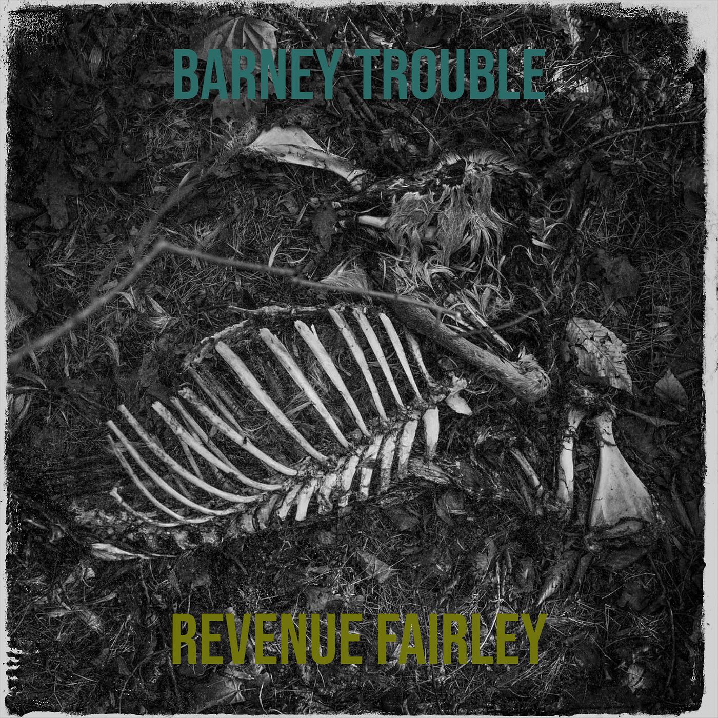 Постер альбома Barney Trouble