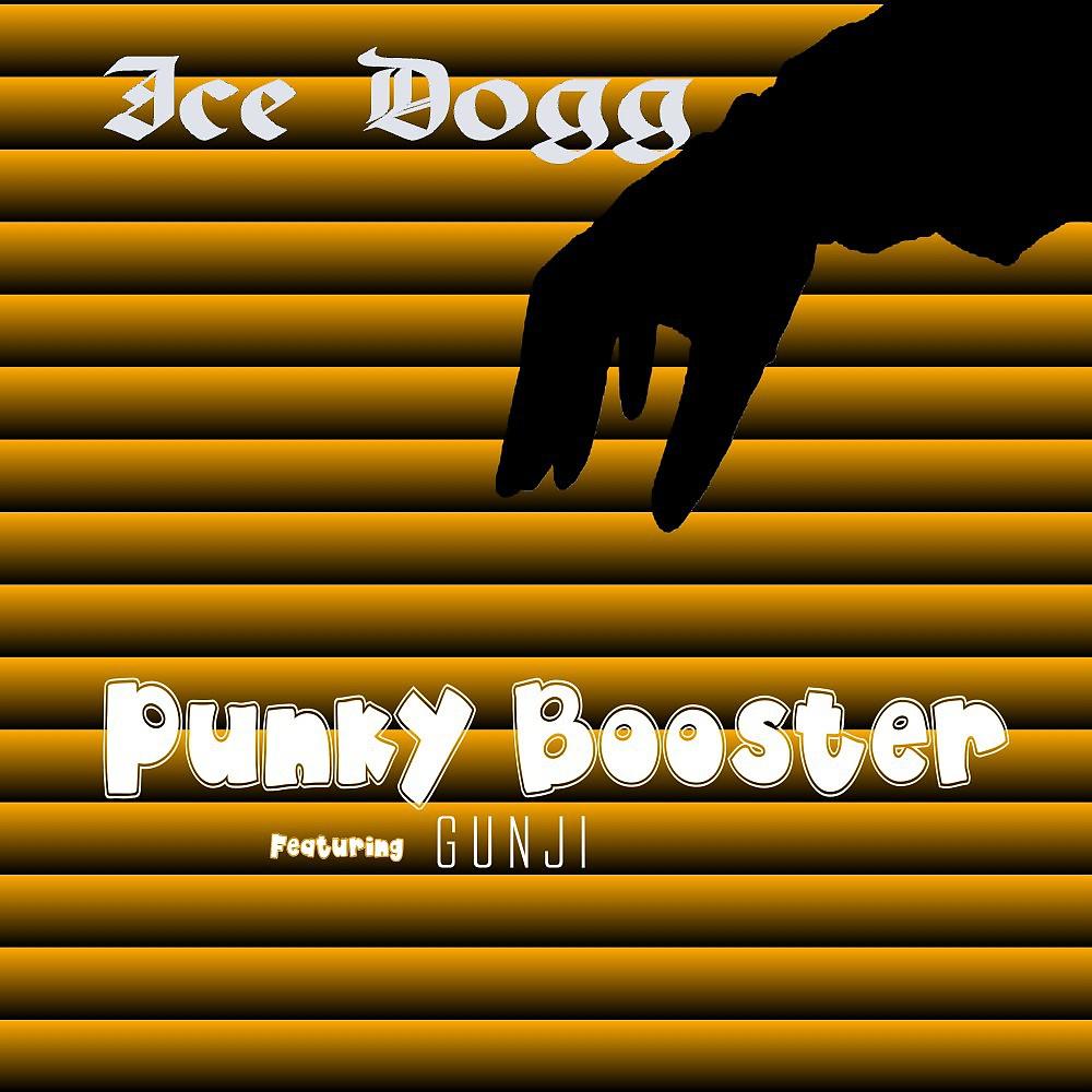 Постер альбома Punky Booster