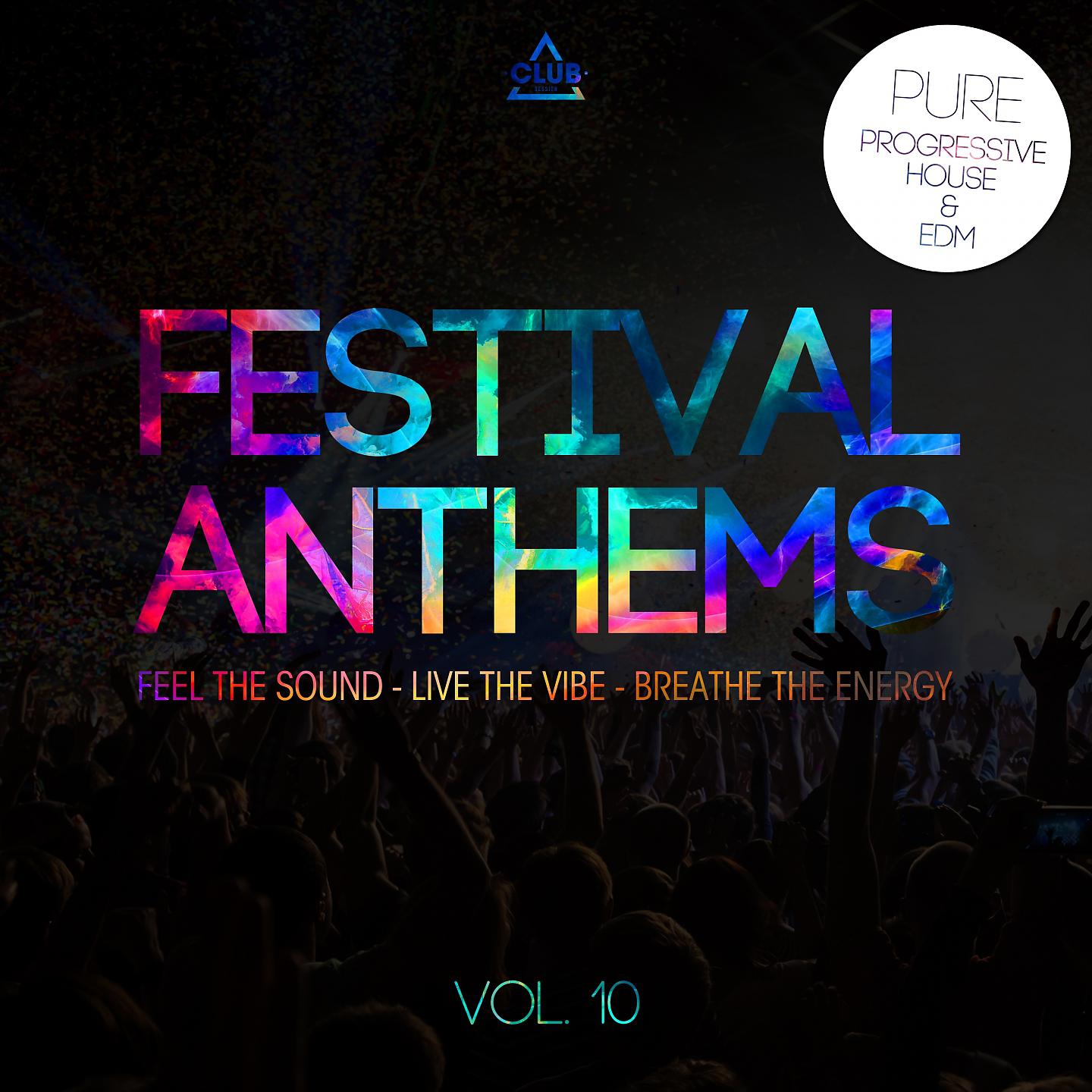 Постер альбома Festival Anthems, Vol. 10
