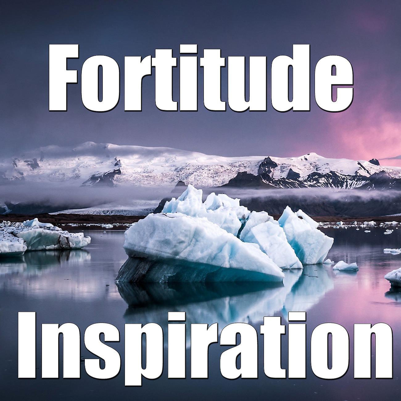 Постер альбома Fortitude Inspiration, Vol. 2