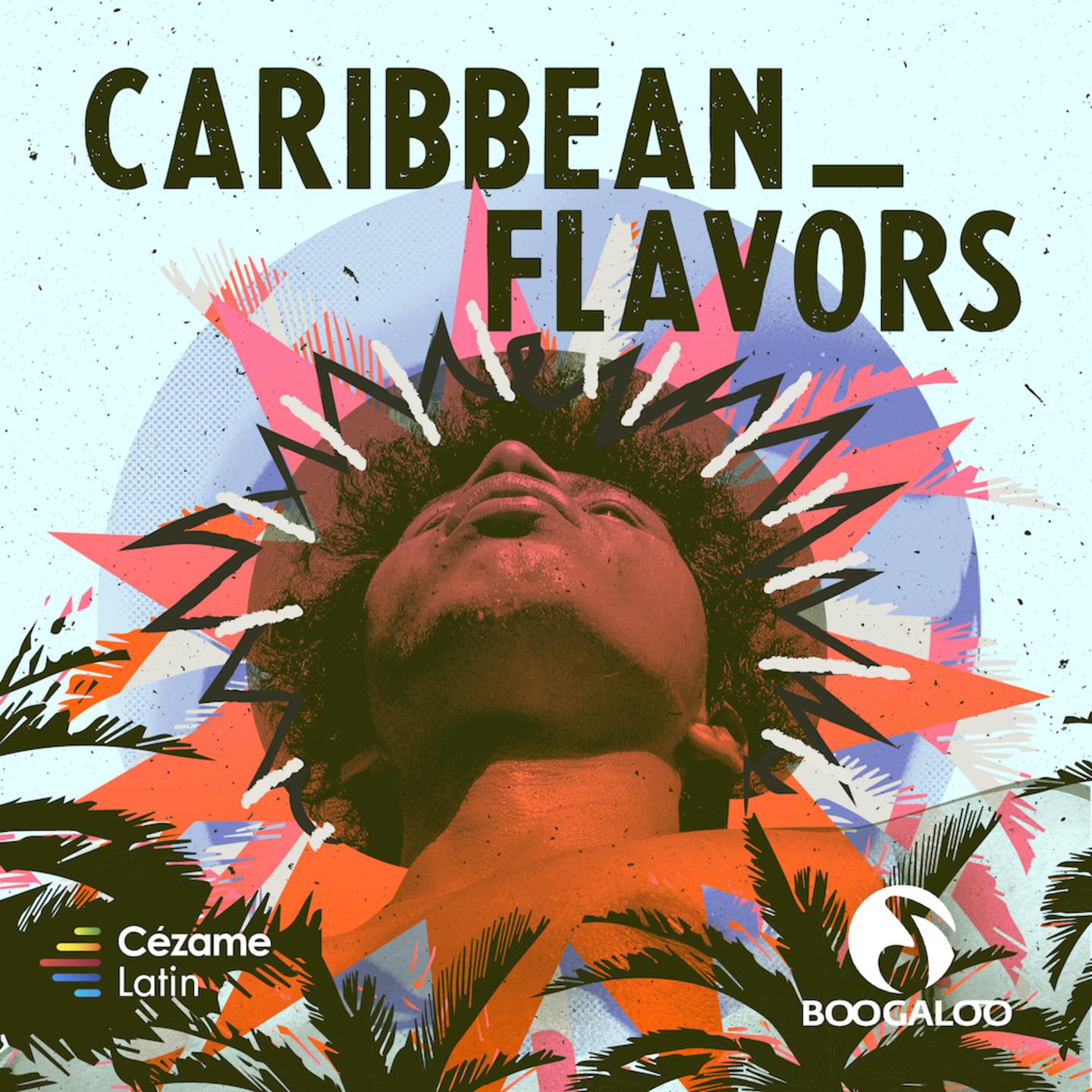 Постер альбома Caribbean Flavors