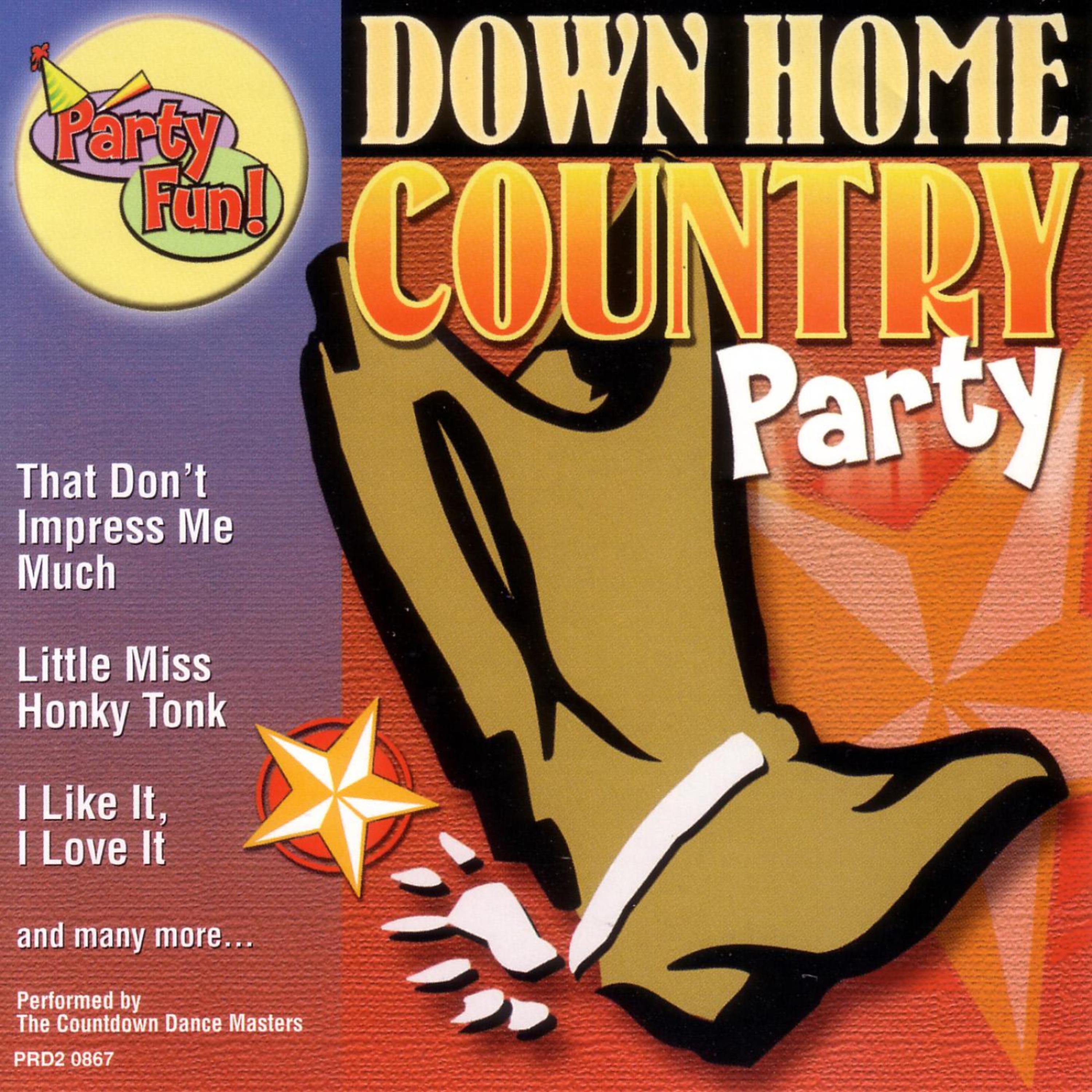 Постер альбома Down Home Country Party