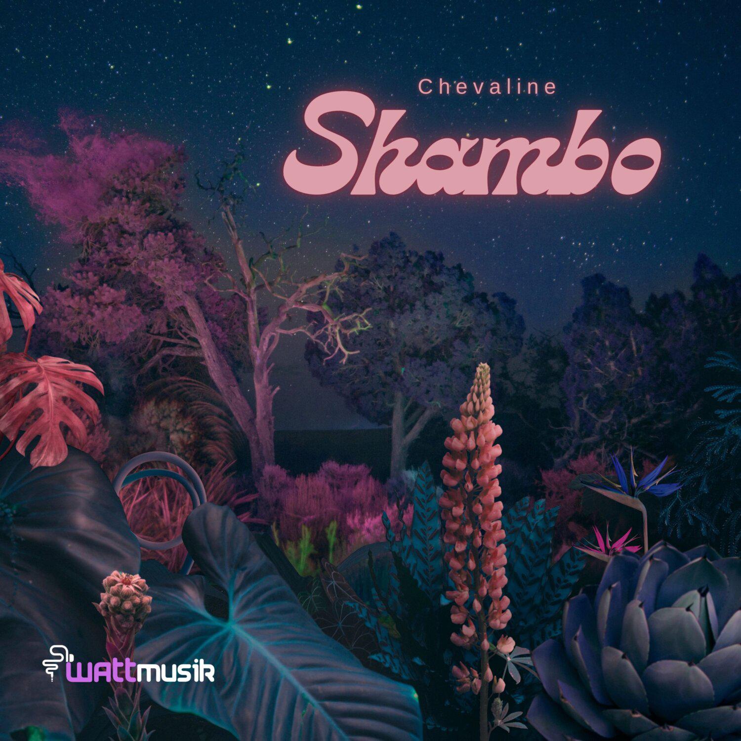 Постер альбома Shambo