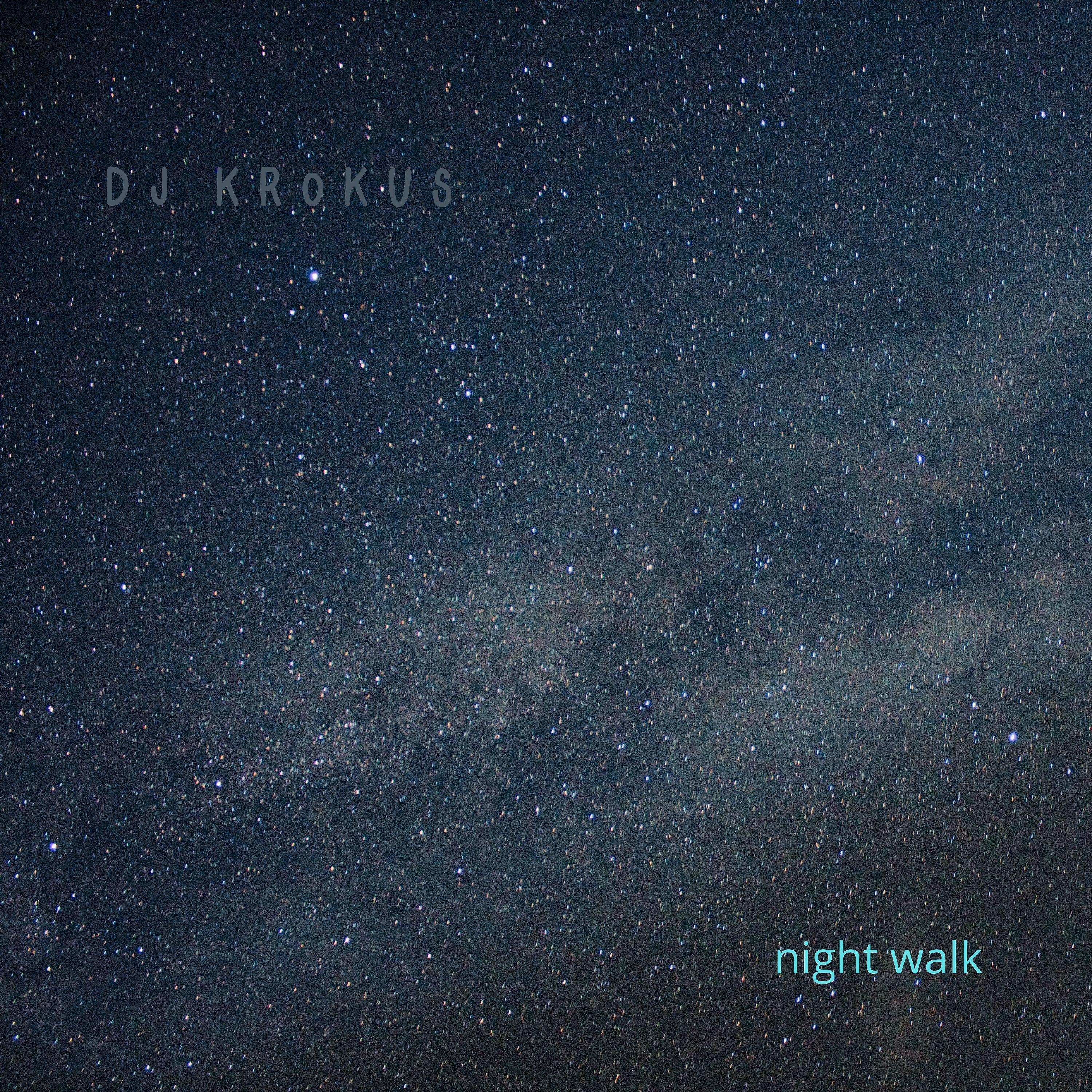 Постер альбома Night Walk
