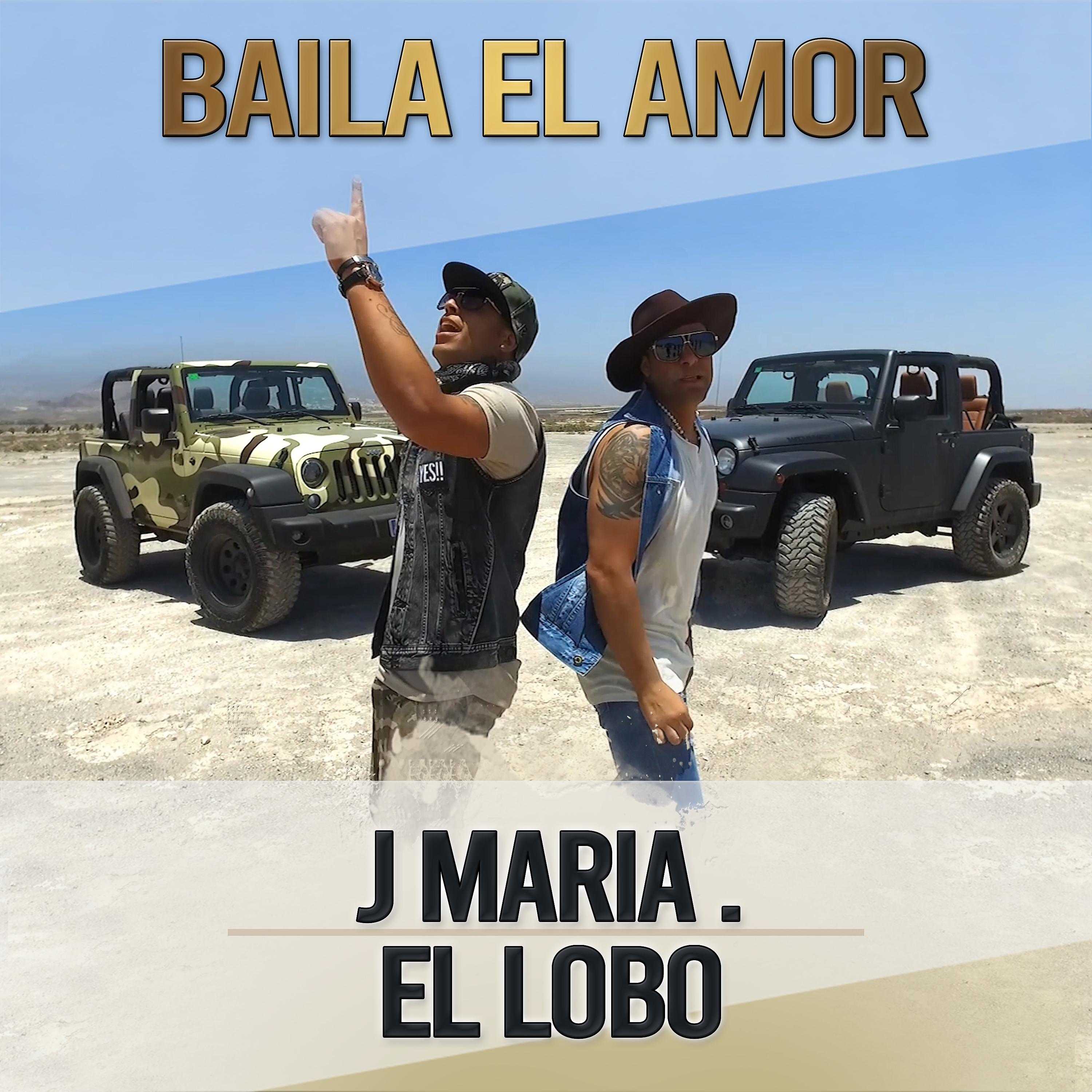Постер альбома Baila el Amor (Remix)