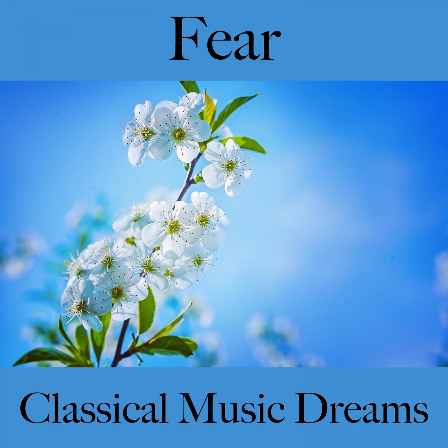 Постер альбома Fear: Classical Music Dreams - The Best Music For Feeling Better