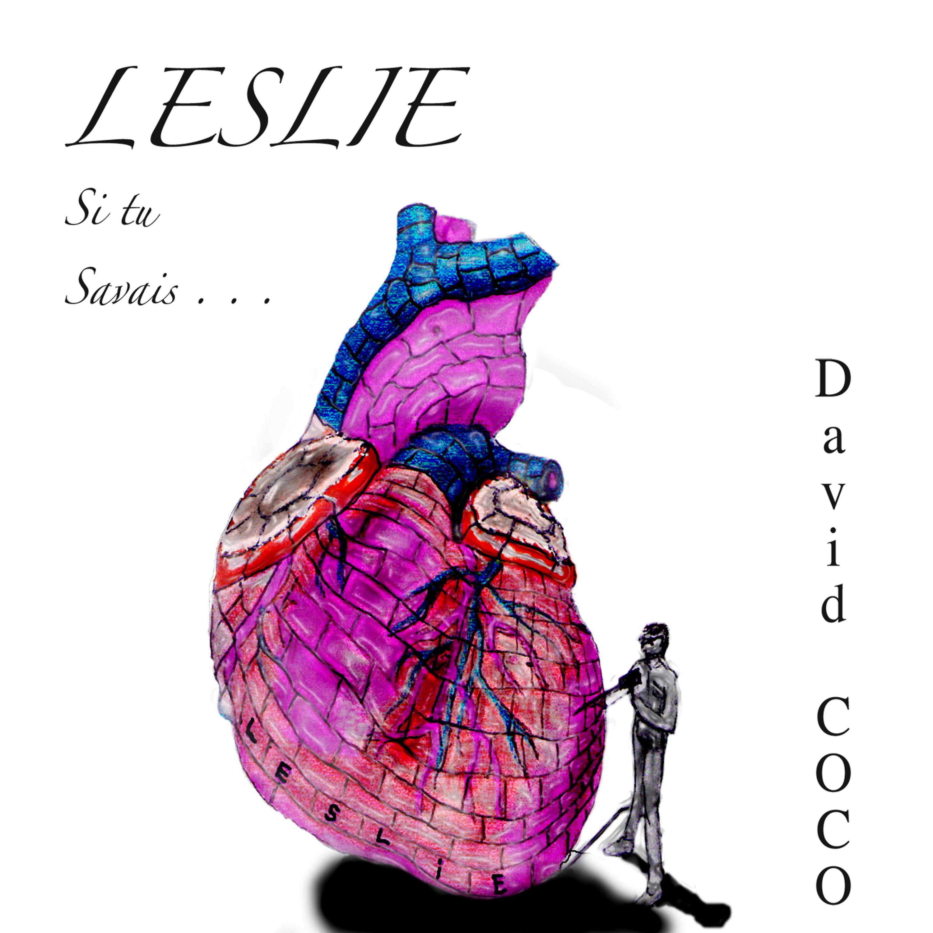 Постер альбома Leslie (si tu savais ...)