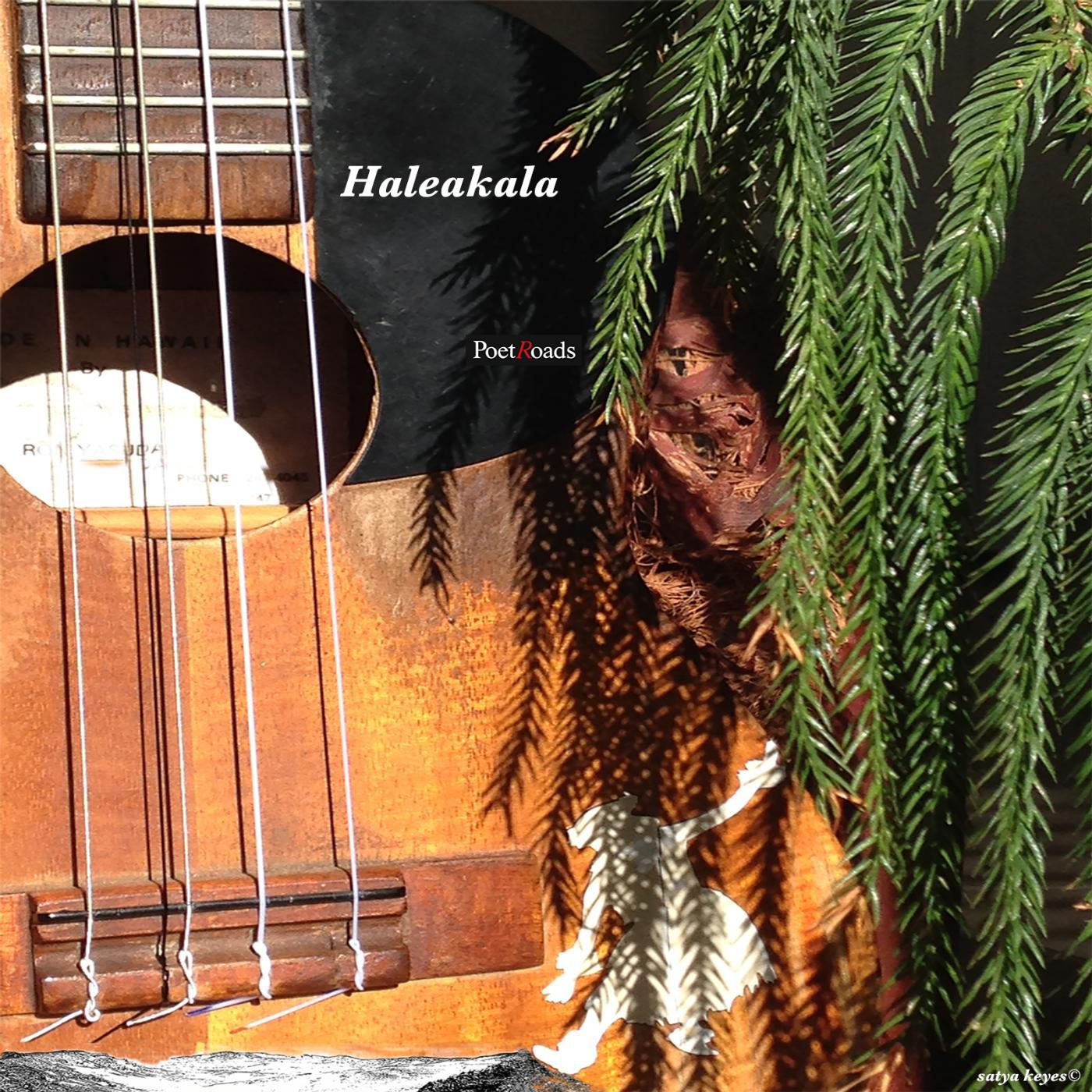 Постер альбома Haleakala (Remix) [feat. Neera Halls, Mariangelica Duque & Isao Yamada]