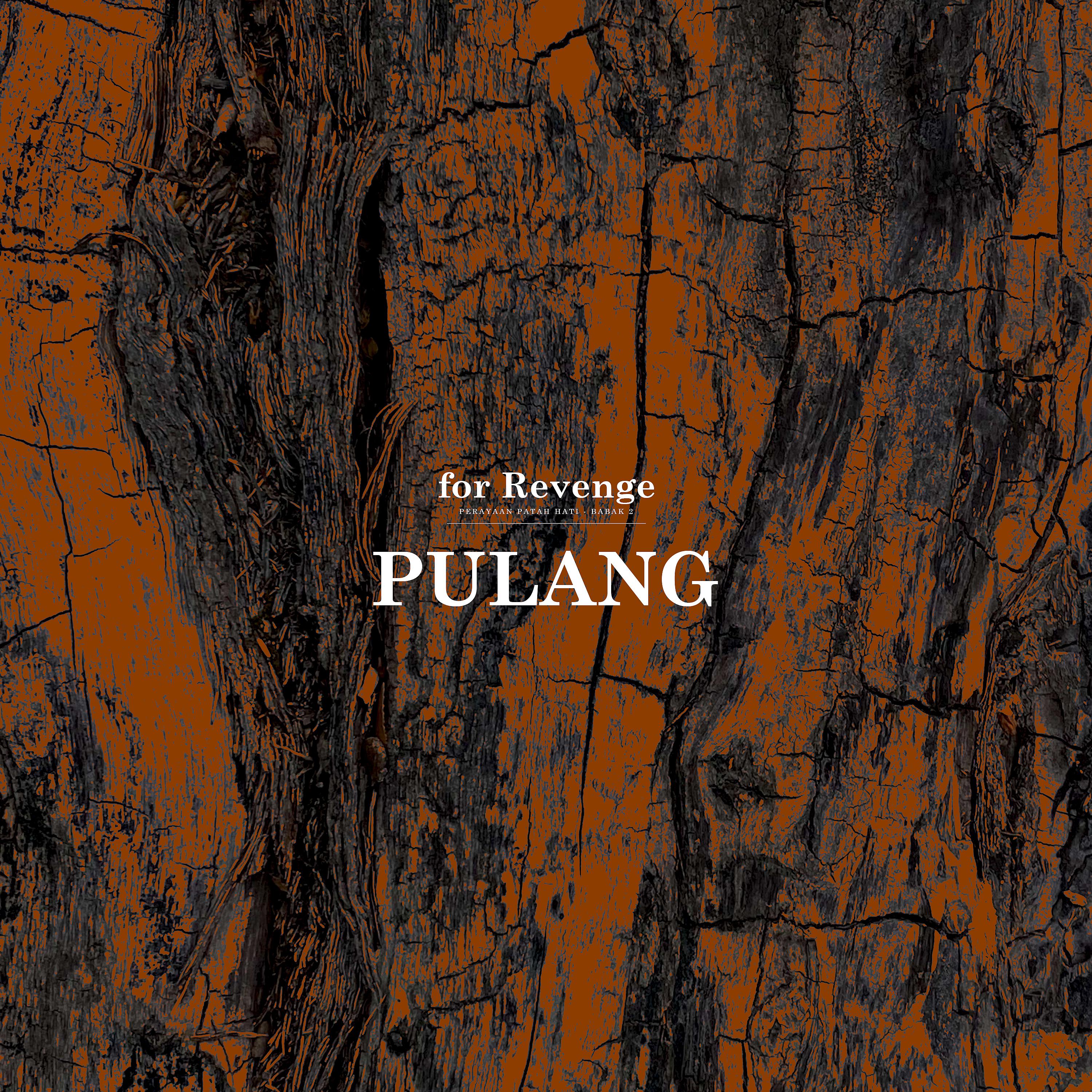 Постер альбома Pulang