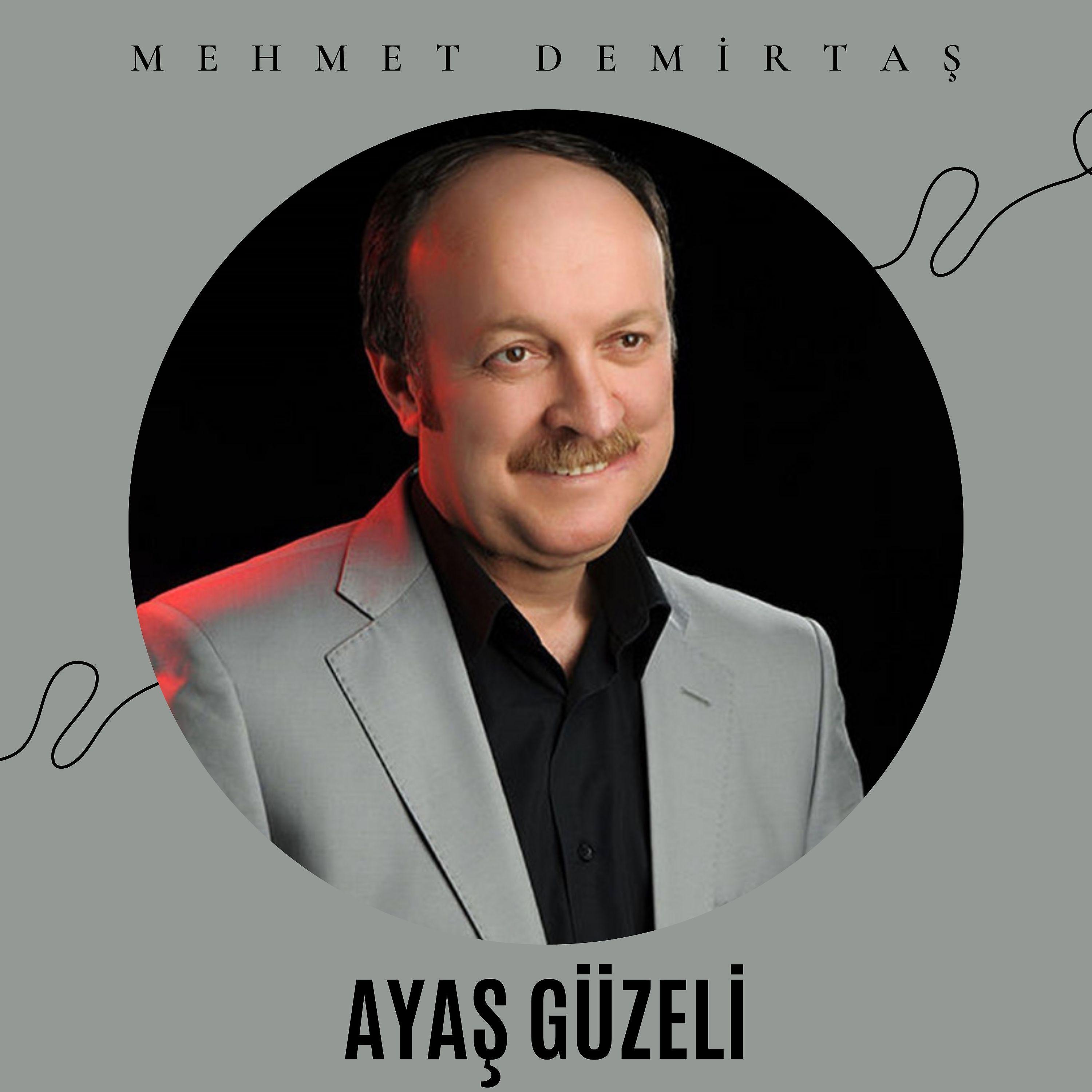Постер альбома Ayaş Güzeli