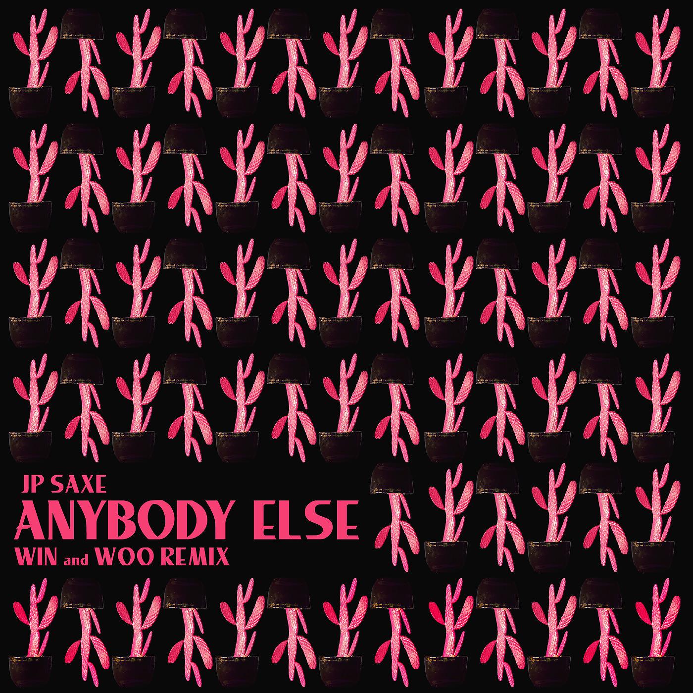 Постер альбома Anybody Else (Win and Woo Remix)
