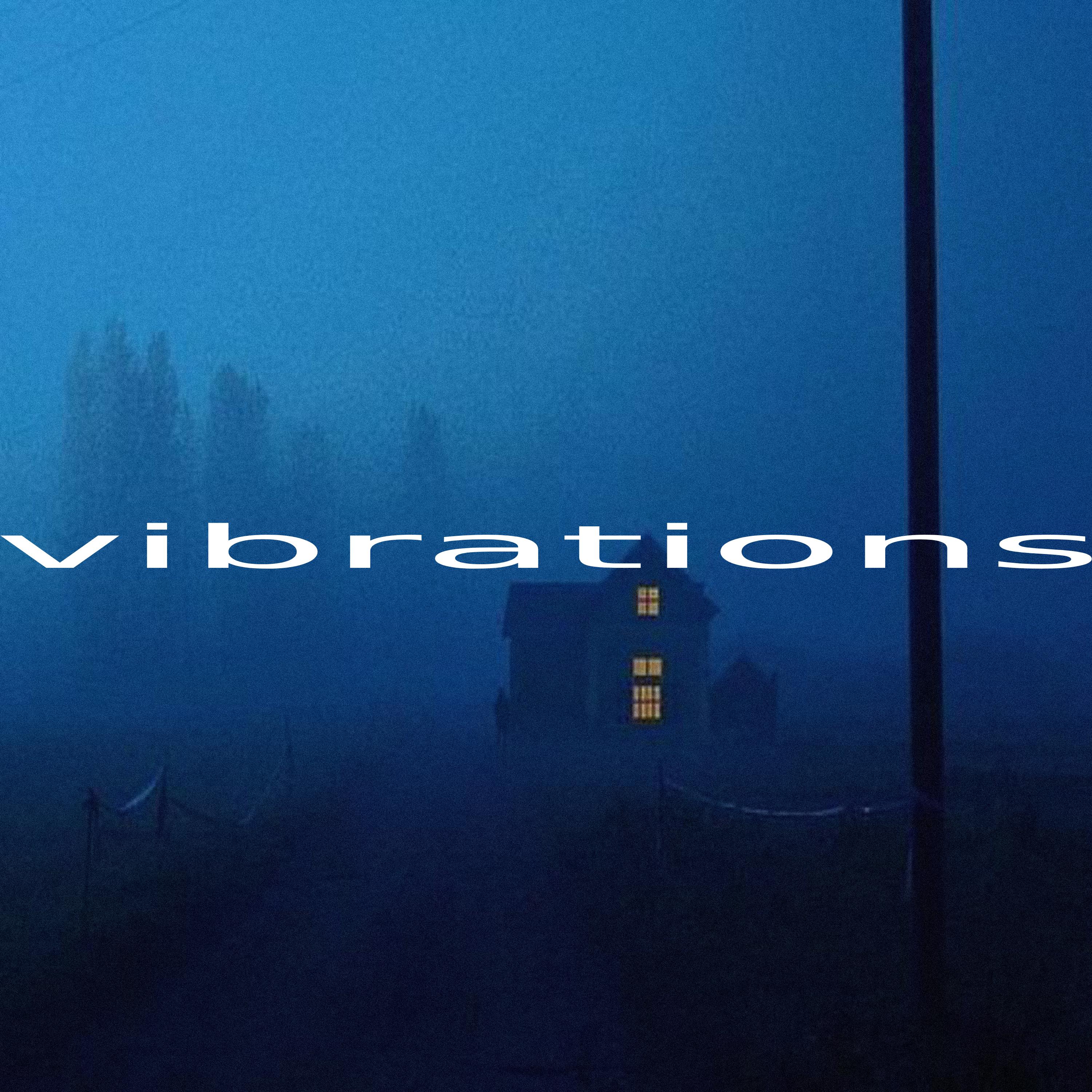 Постер альбома Vibrations...