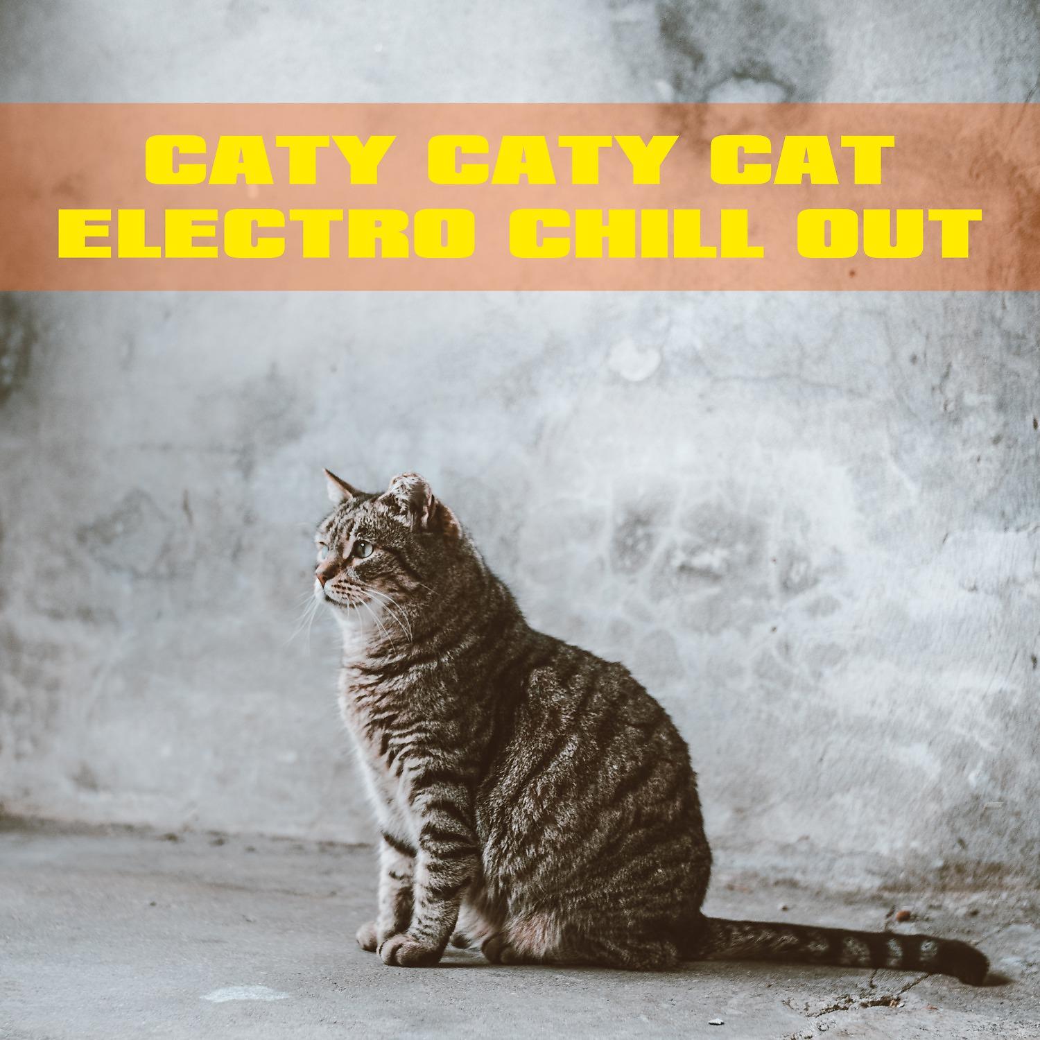 Постер альбома Caty Caty Cat Electro Chill Out