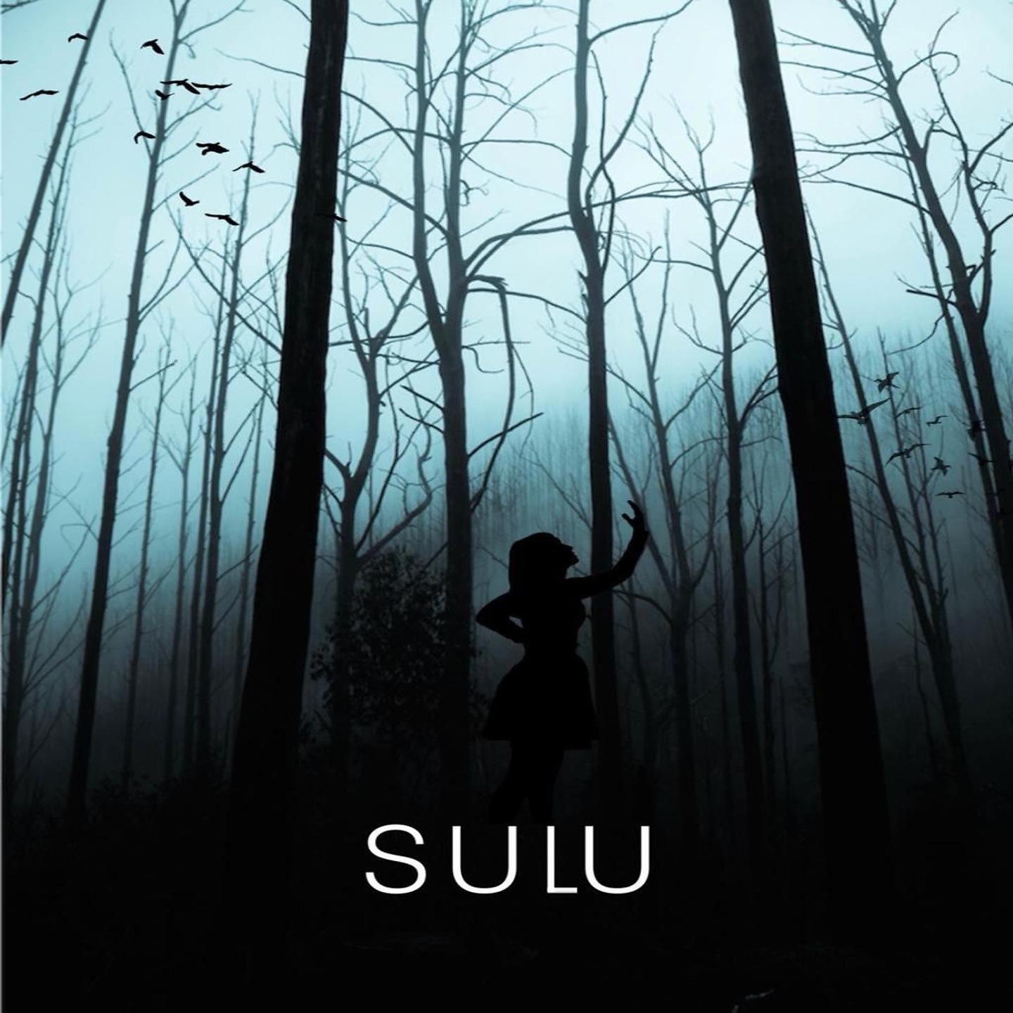 Постер альбома Sulu