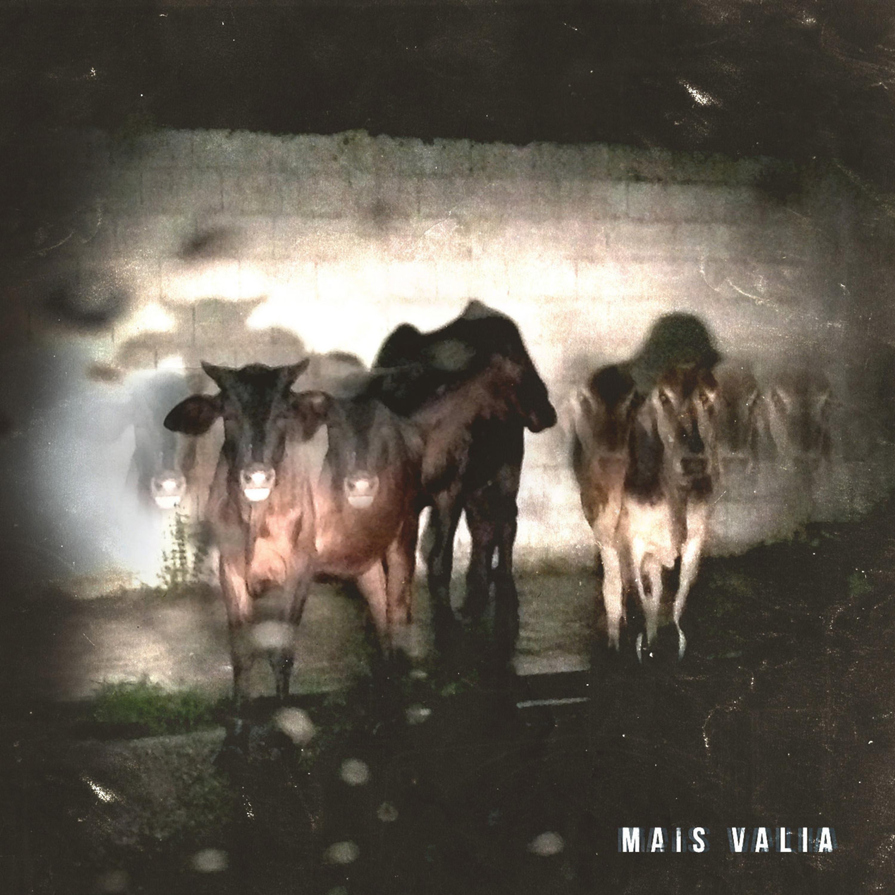 Постер альбома Mais Valia