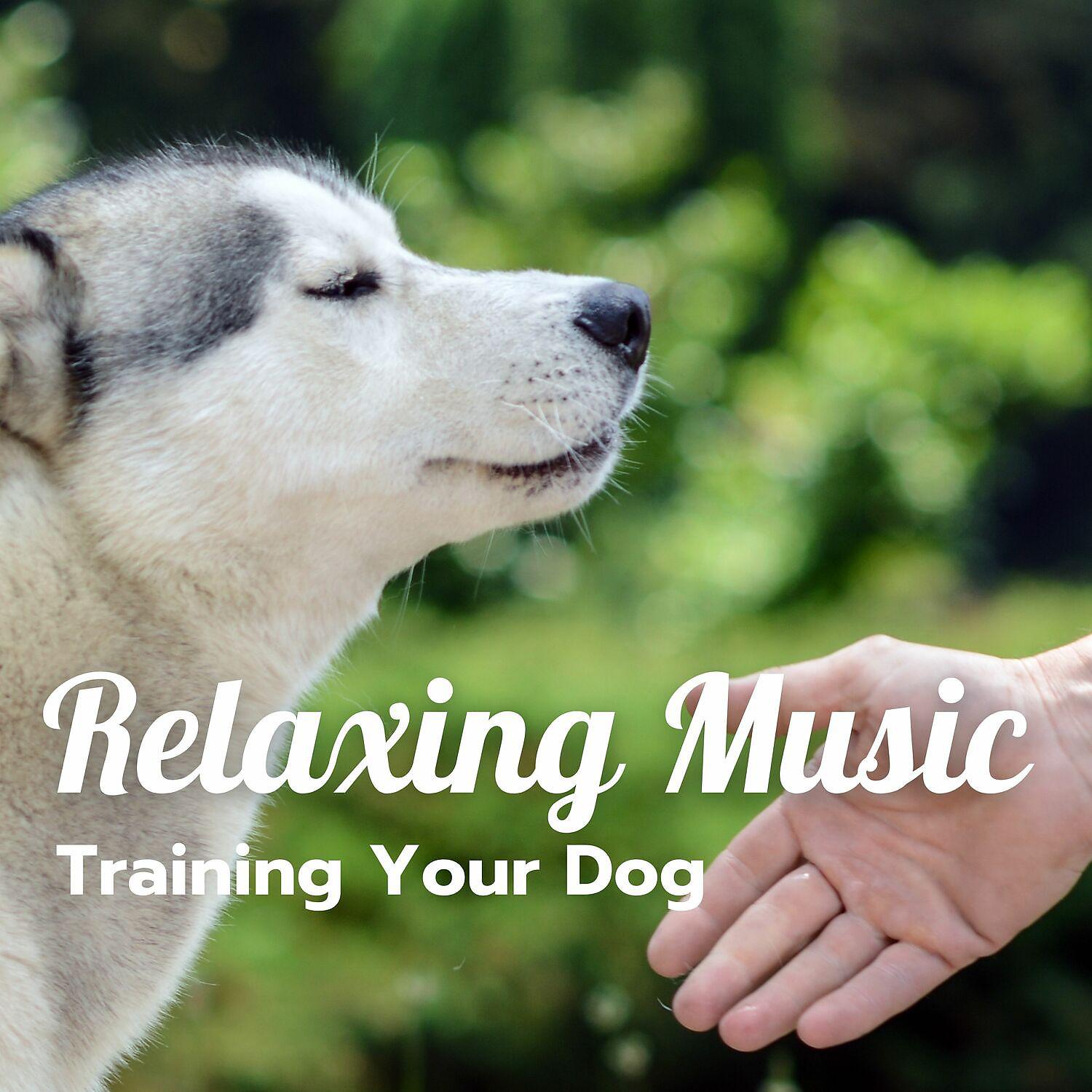 Постер альбома Relaxing Music for Training Your Dog