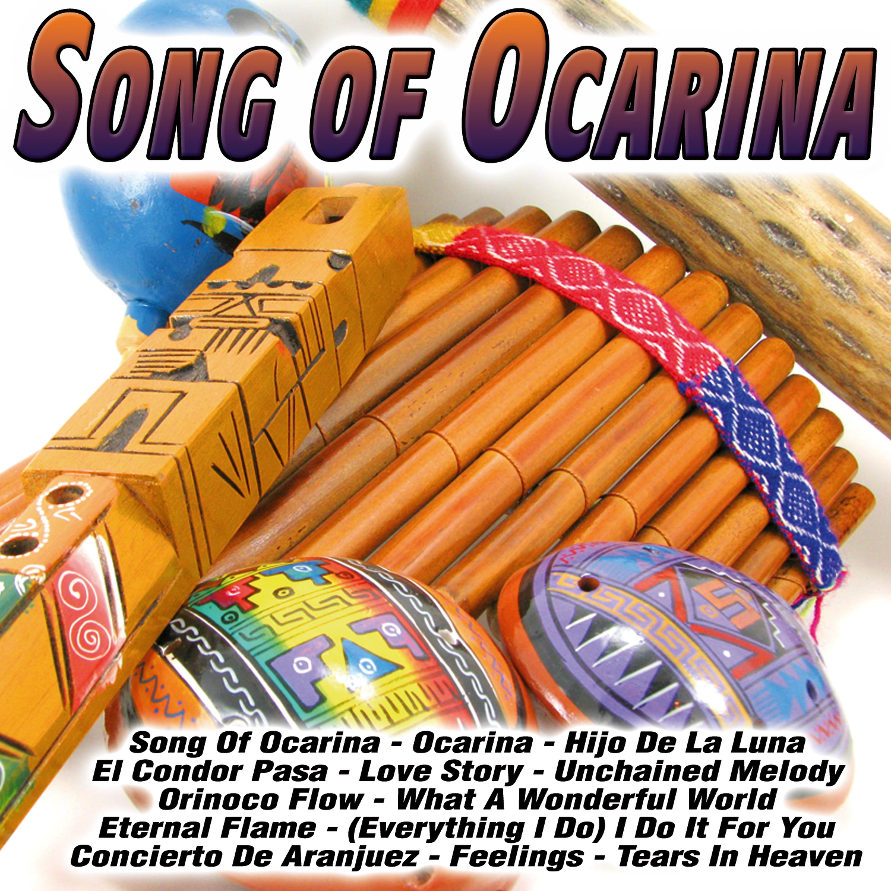 Постер альбома Ocarina-Song Of Ocarina