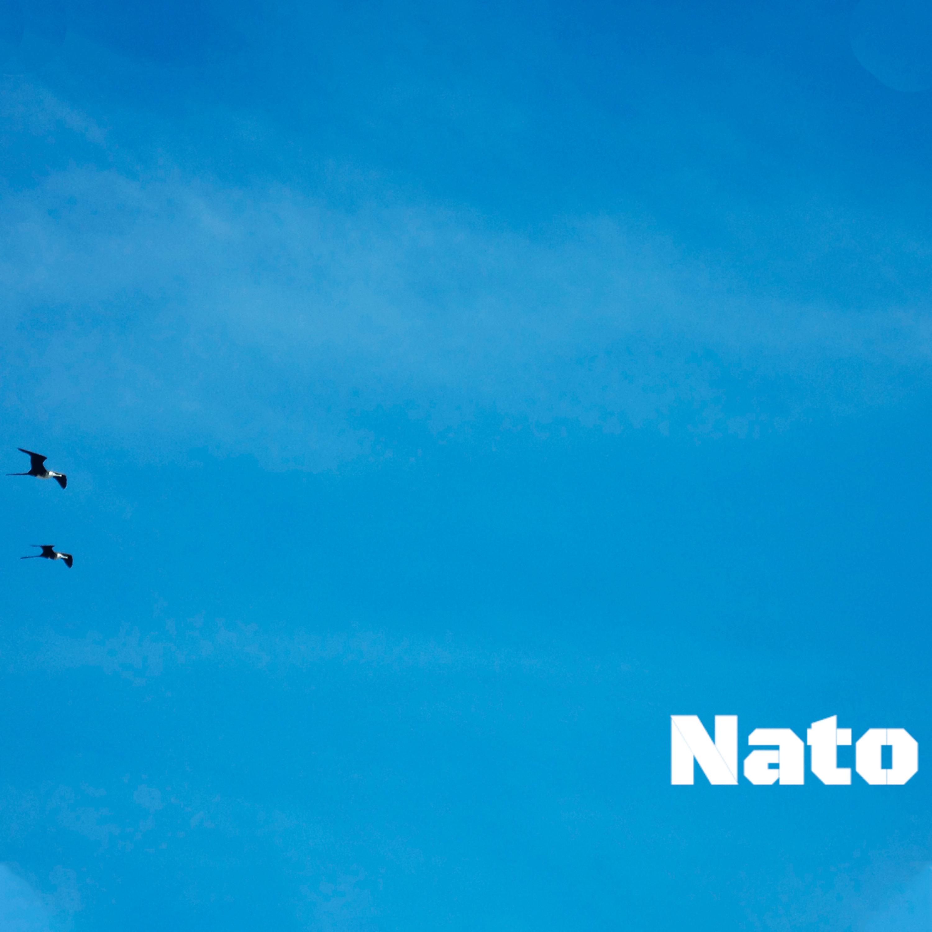 Постер альбома Nato