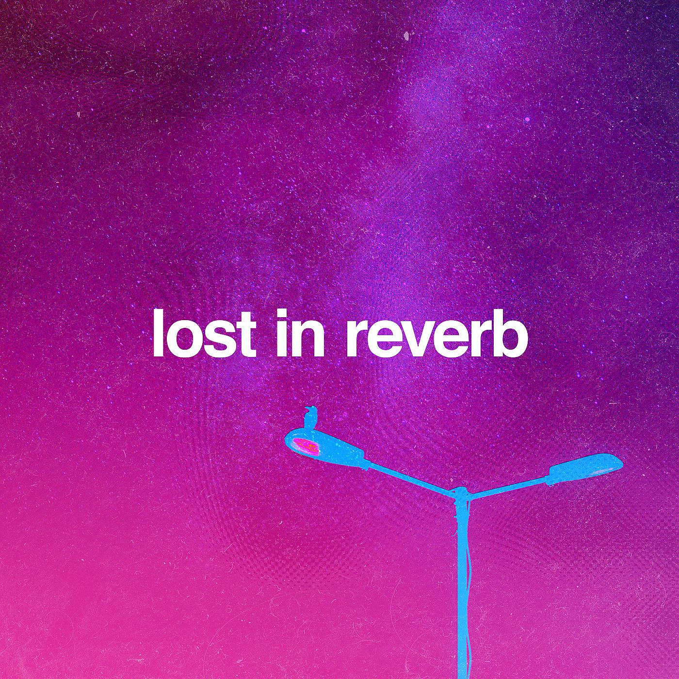 Постер альбома Lost in Reverb