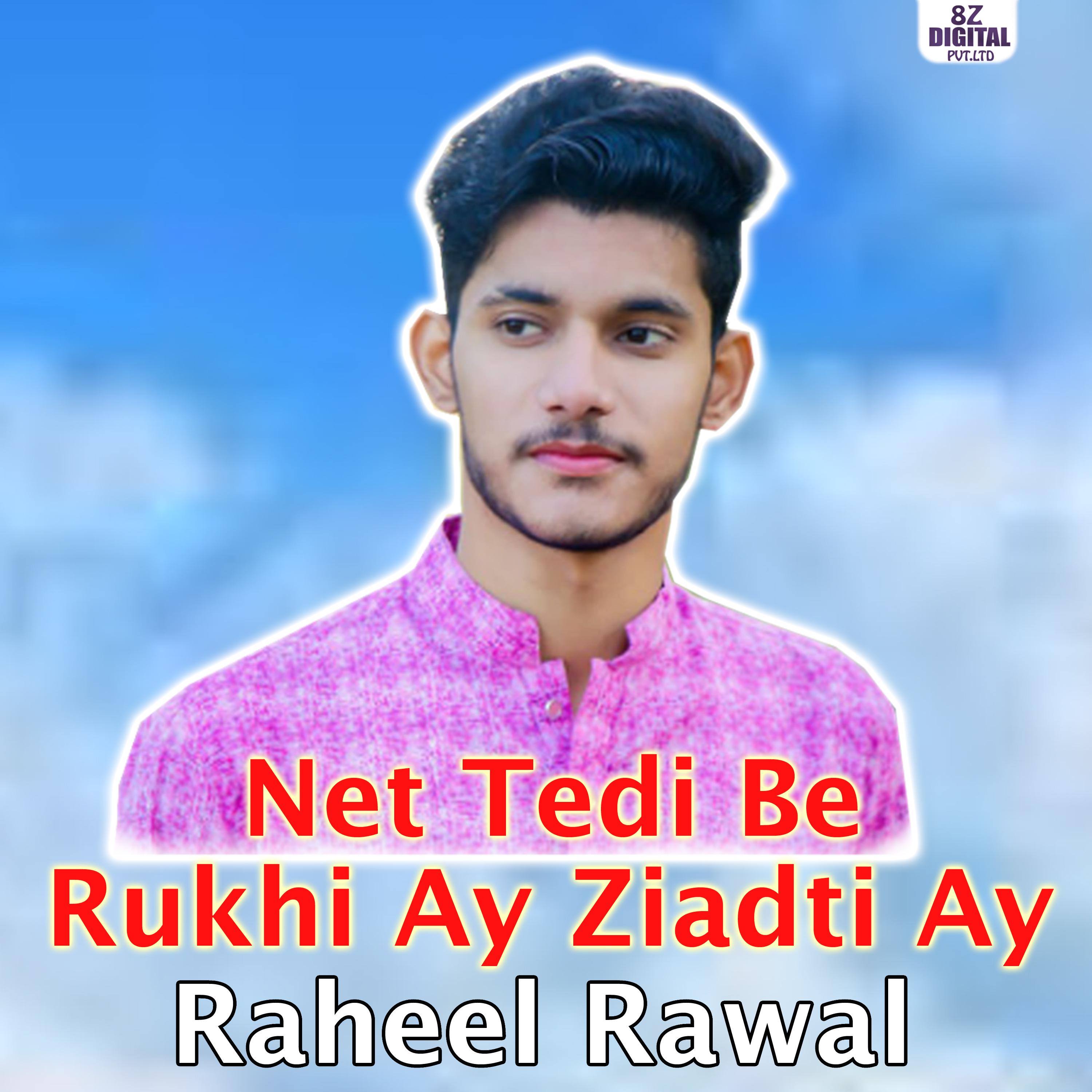 Постер альбома Net Tedi Be Rukhi Ay Ziadti Ay