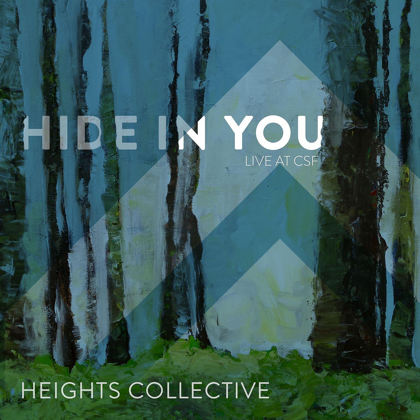 Постер альбома Hide in You (Live)