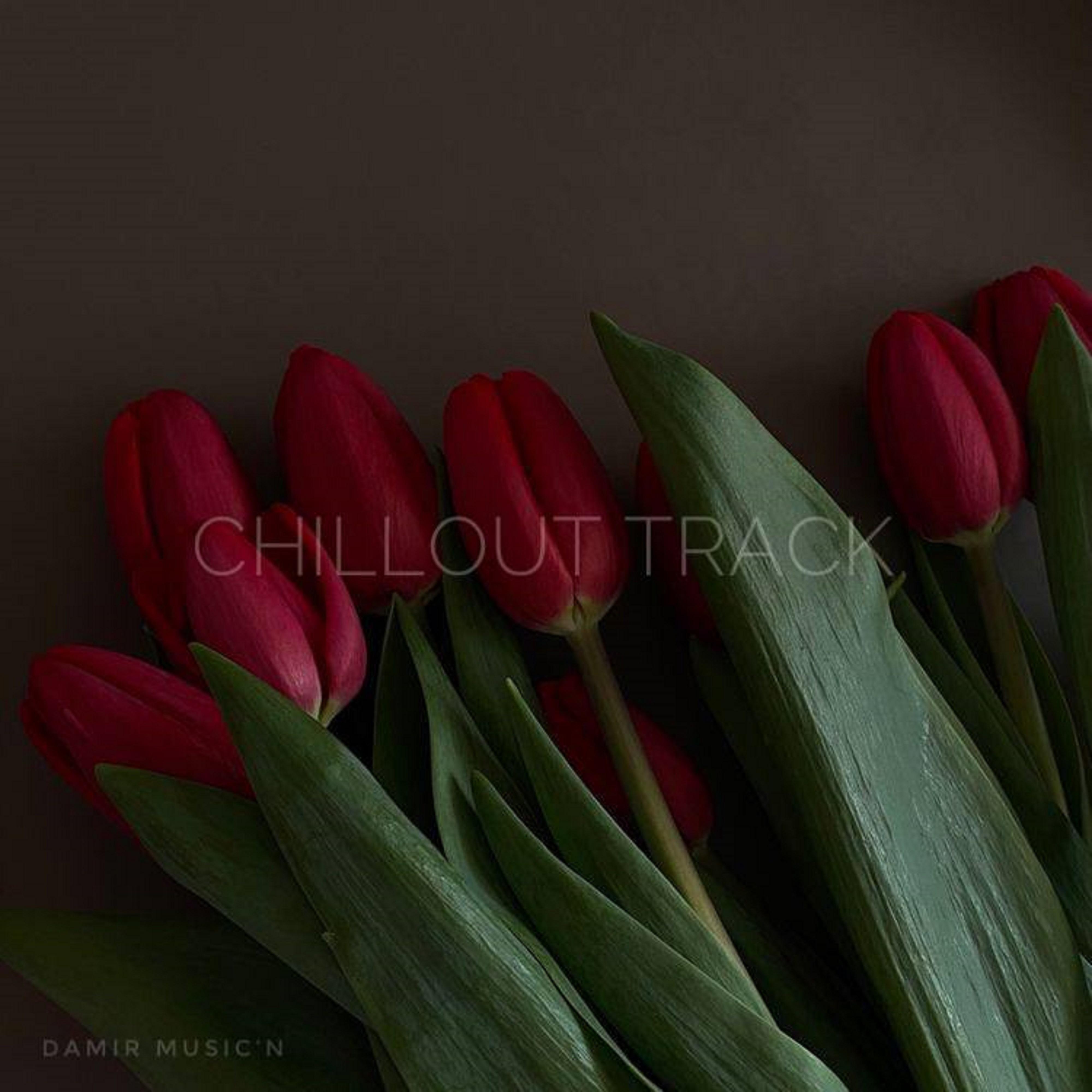 Постер альбома Cillout Track