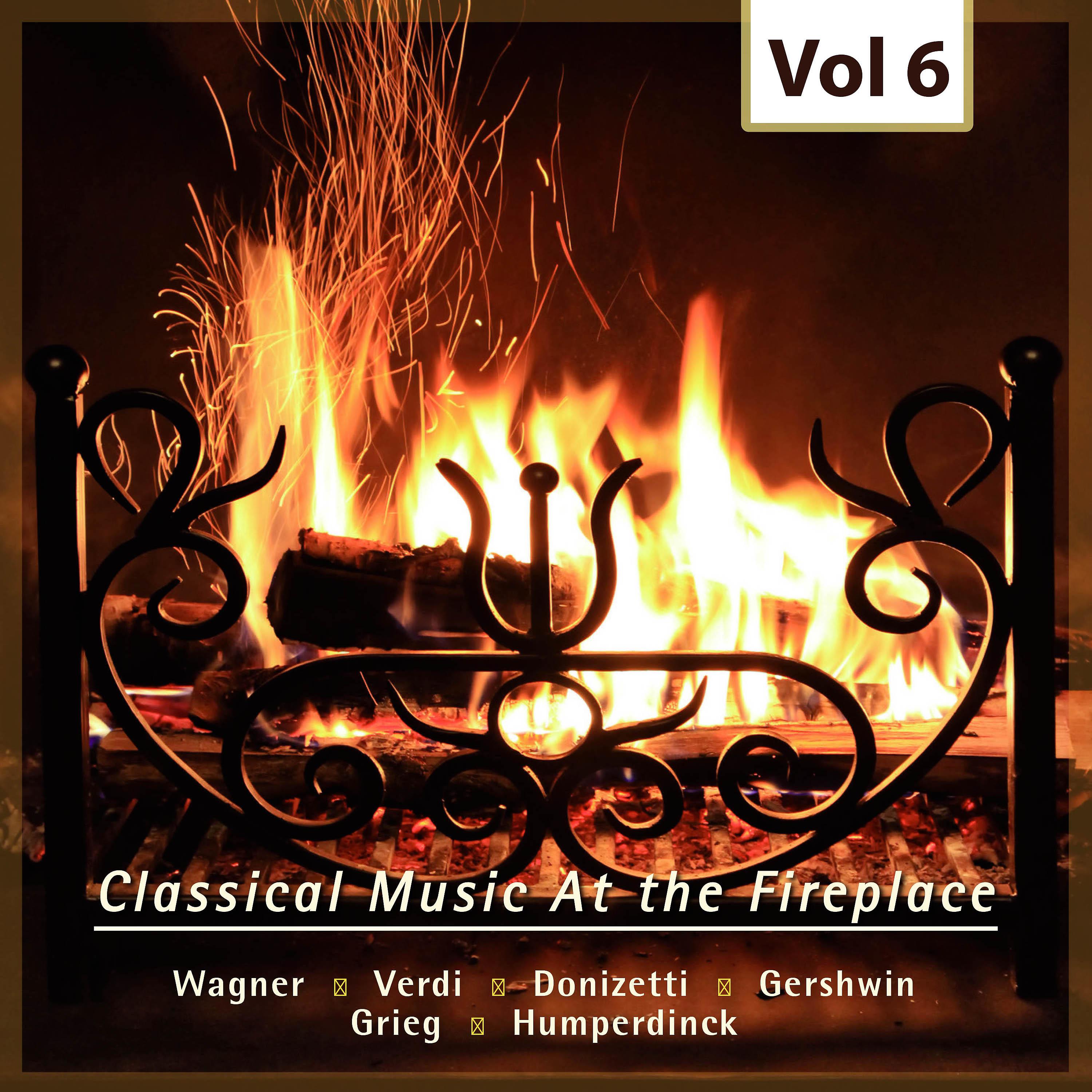 Постер альбома Classical Music at the Fireplace, Vol. 6