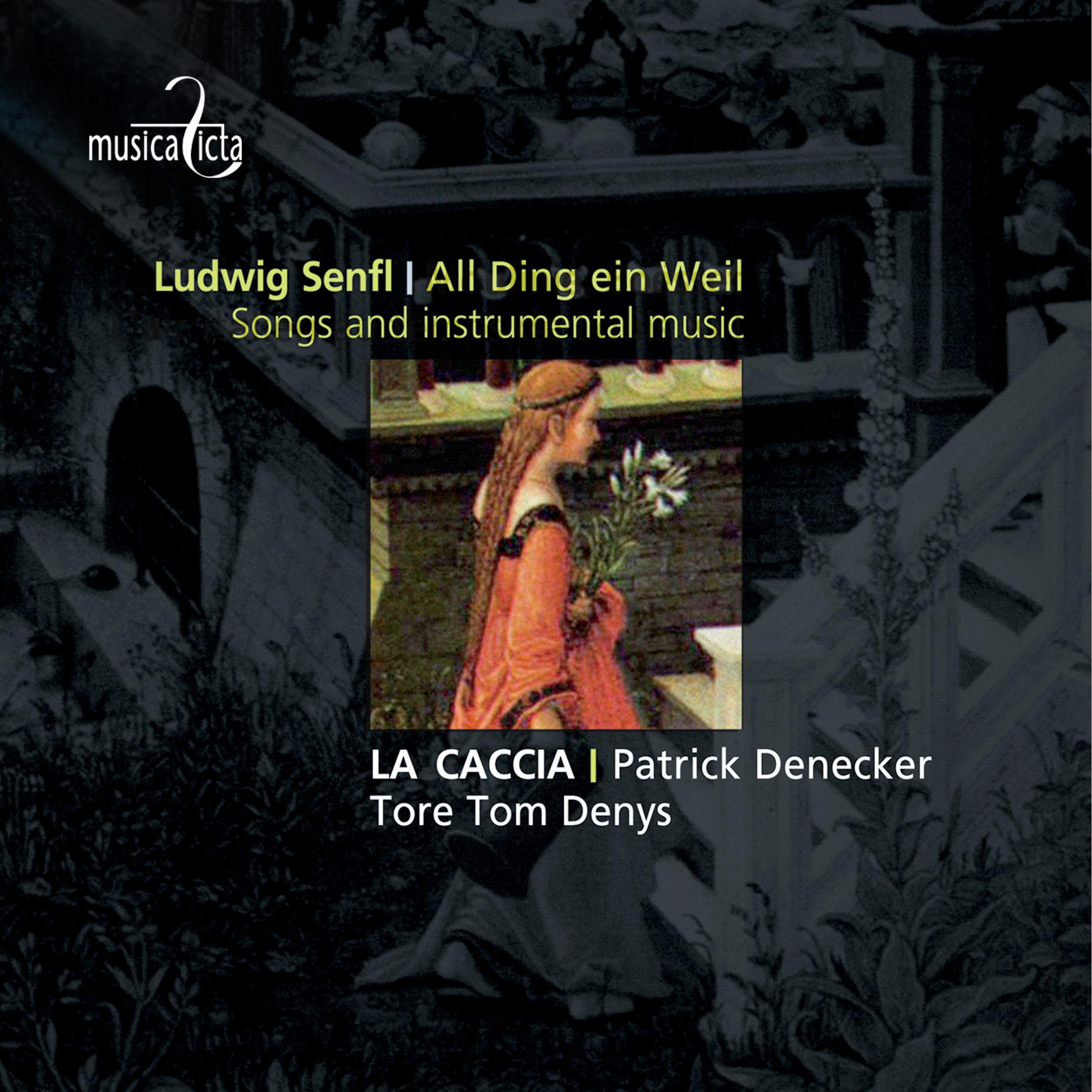 Постер альбома Senfl: All Ding ein Weil - Songs and Instrumental Music