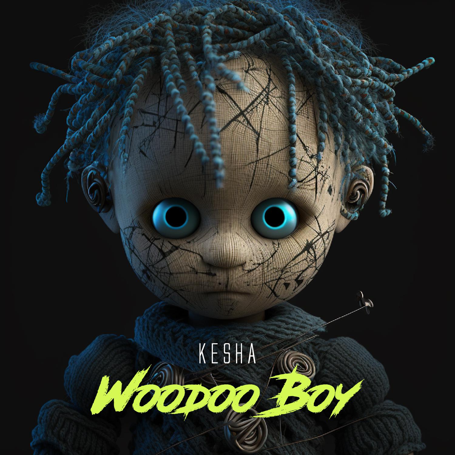 Постер альбома Woodoo boy